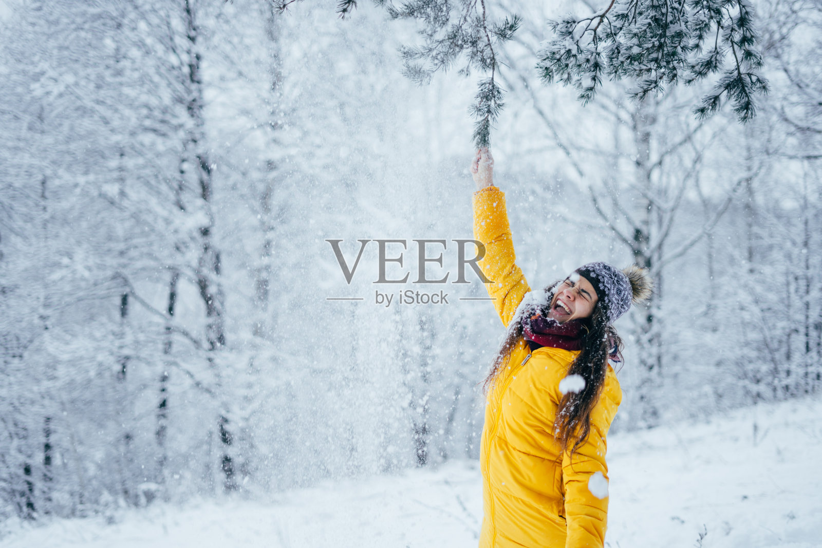 穿着羽绒服，戴着帽子的年轻女孩在冬日的森林里摇着白雪覆盖的树枝。照片摄影图片