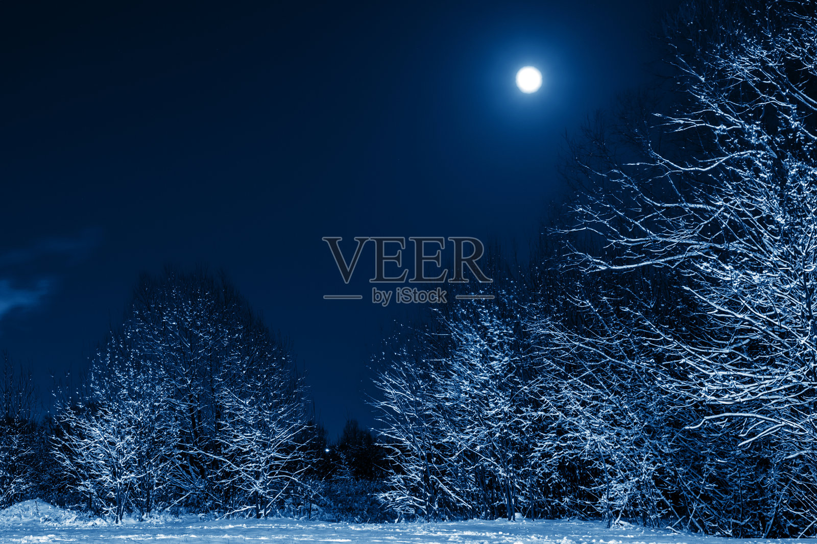 2020年冬季景观潮流色调的经典蓝色。雪中树木的夜晚大自然。很多蓬松的雪。月亮照耀着蓝色的天空。照片摄影图片
