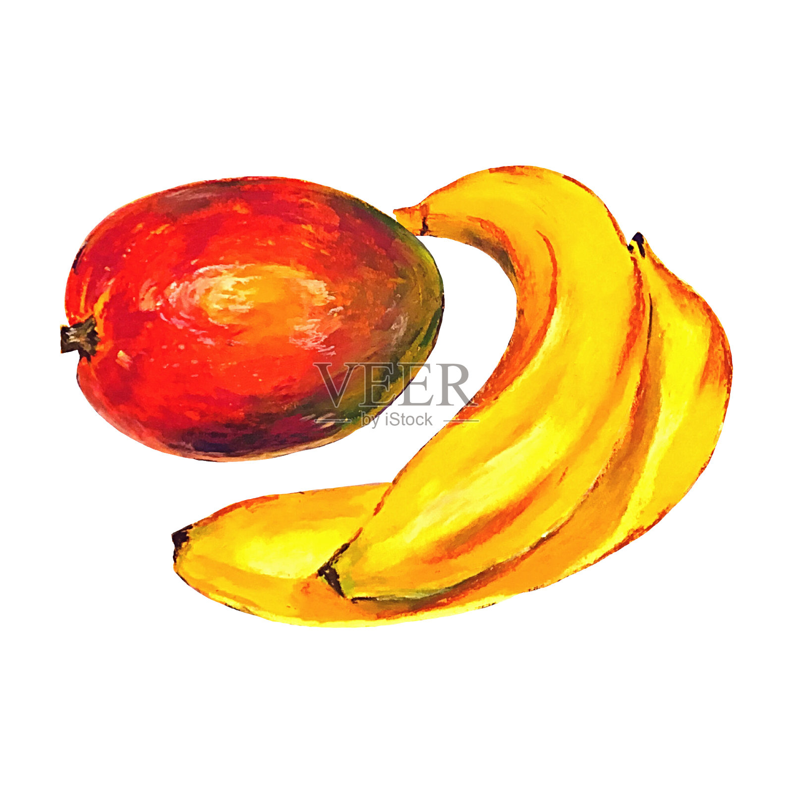 芒果和香蕉孤立在白色的背景。热带水果。油彩手绘插图。插画图片素材