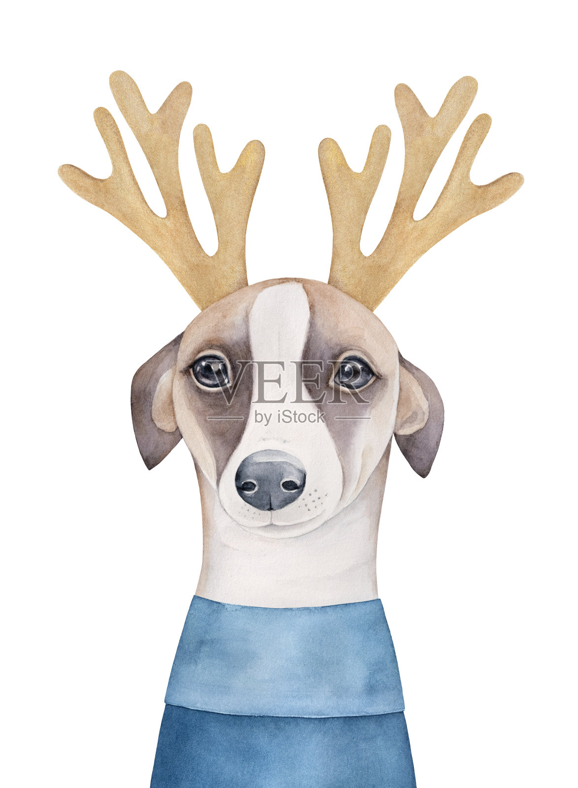 小意大利灰狗狗身穿蓝色针织毛衣和金色驯鹿角带。手绘水彩图形油漆在白色的背景。美丽的元素，卡片，横幅，印刷，海报。插画图片素材