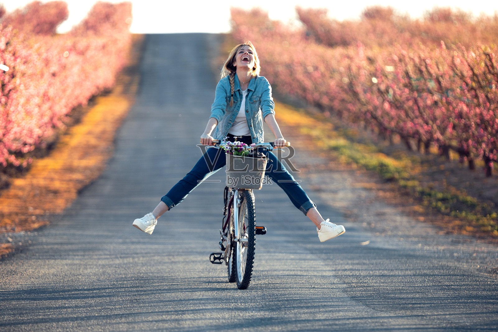 漂亮的年轻女子骑着一辆老式自行车在春天的樱桃地里享受时光。照片摄影图片