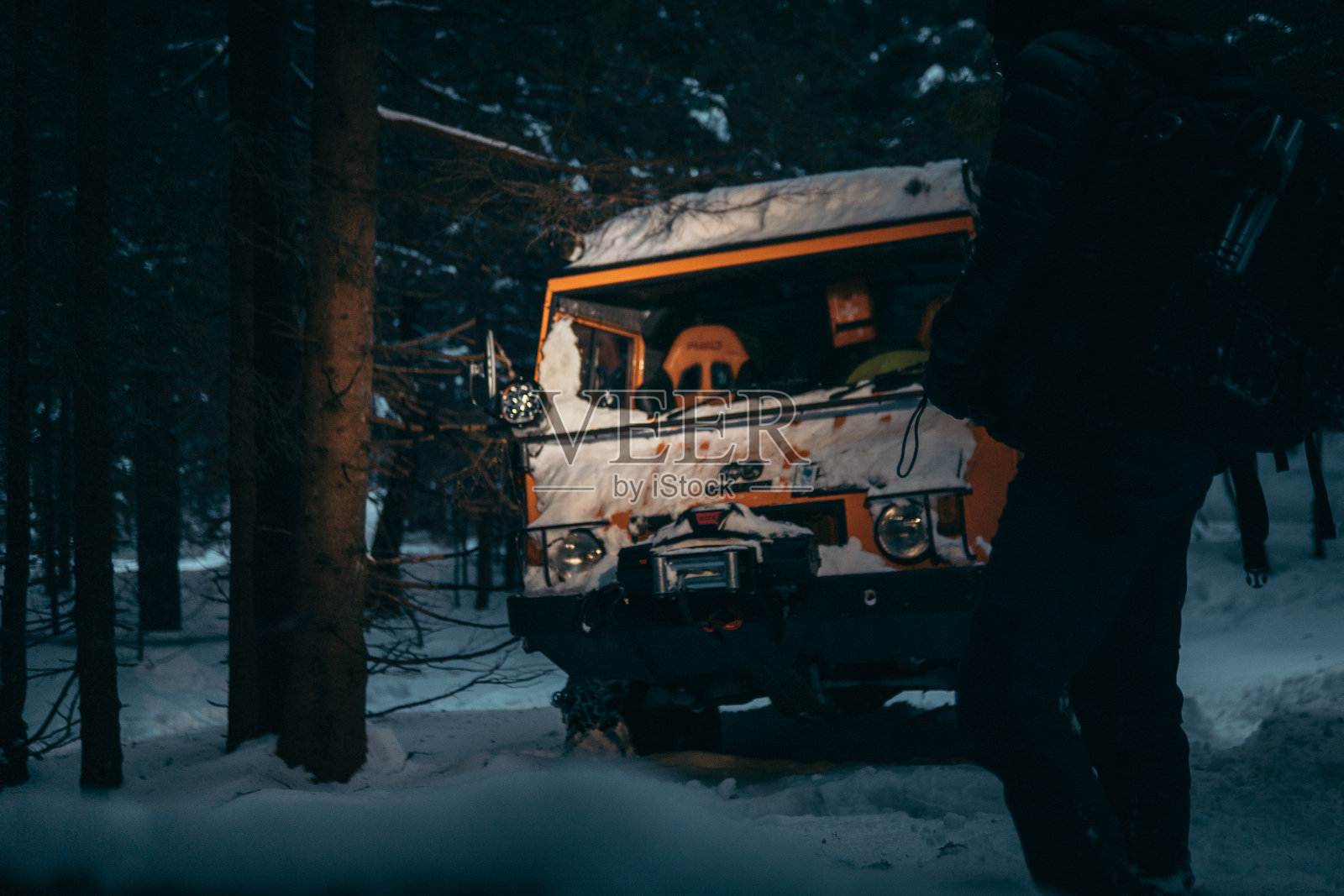 树林里的雪车照片摄影图片
