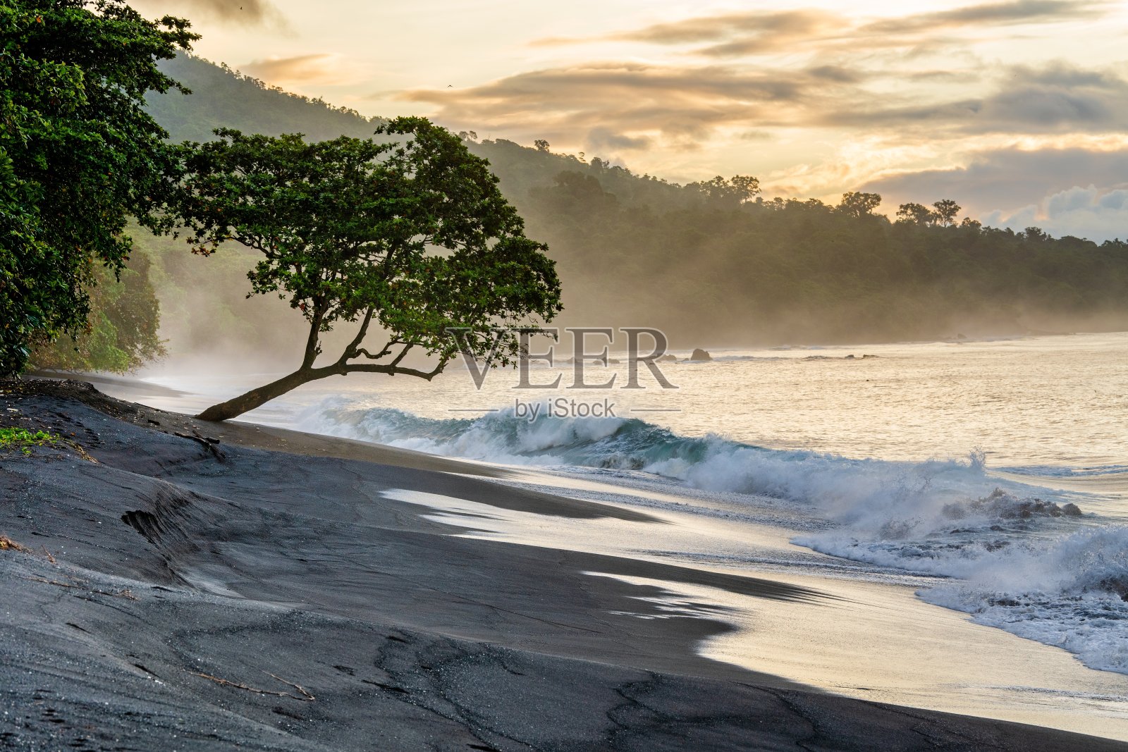 唐科科国家公园的黑砂火山海滩。唐科科国家公园的海岸上，清晨有雾。苏拉威西岛。印尼照片摄影图片