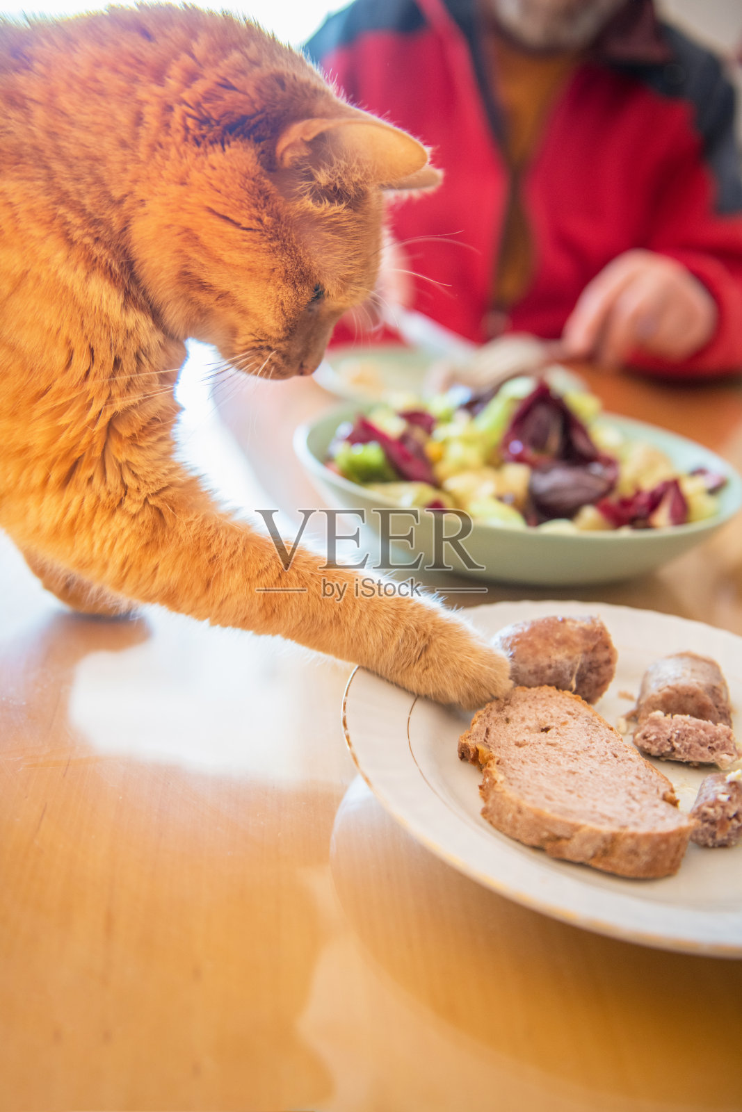 姜猫被盘子上的美味香肠诱惑照片摄影图片