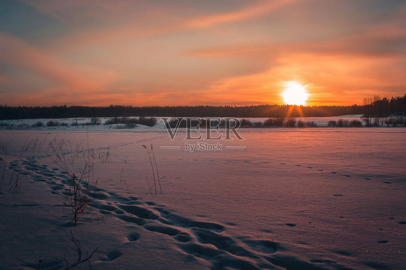 冬日田野上橙色的夕阳照片摄影图片