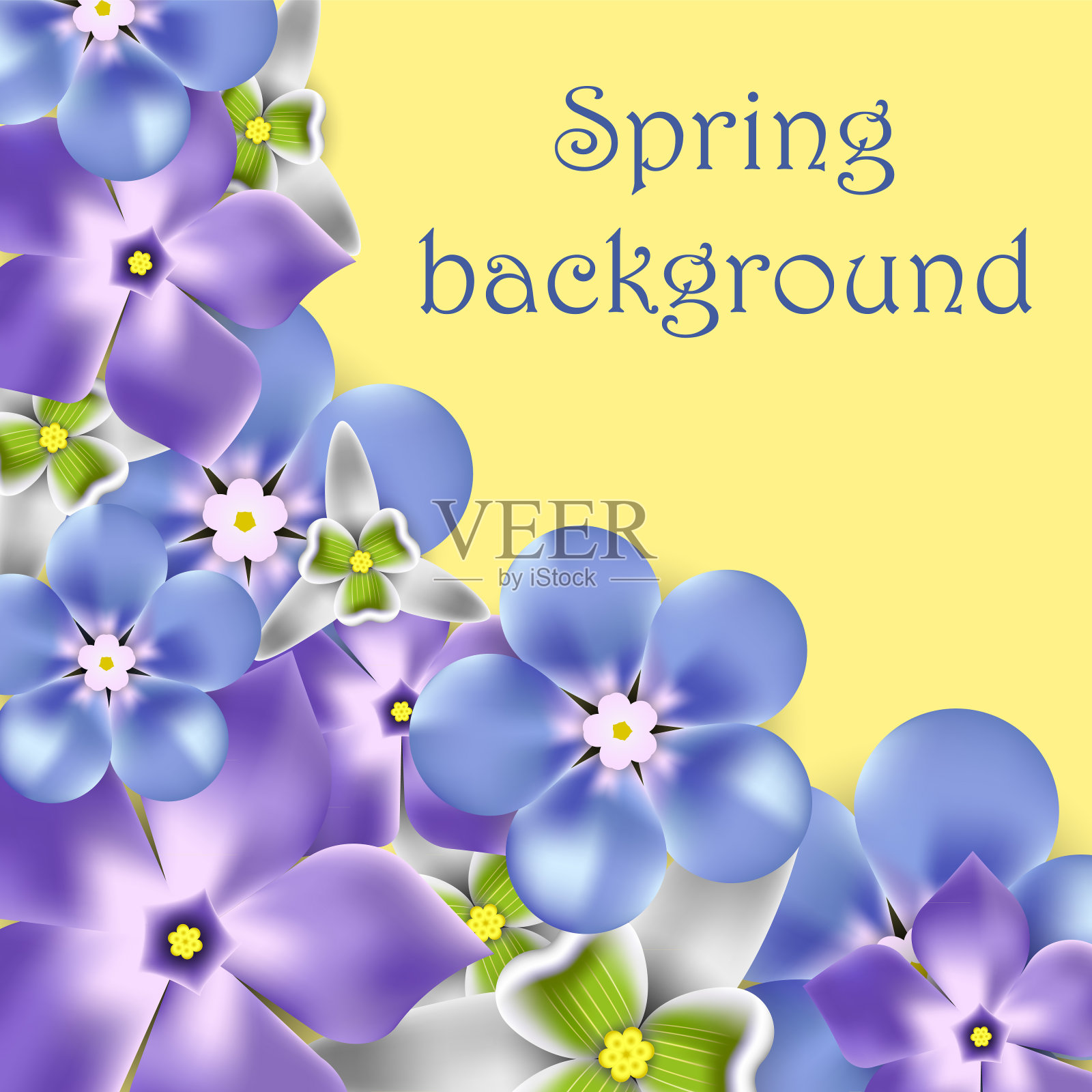 春天的背景与雪花莲，长春花和brunnera，矢量插图插画图片素材