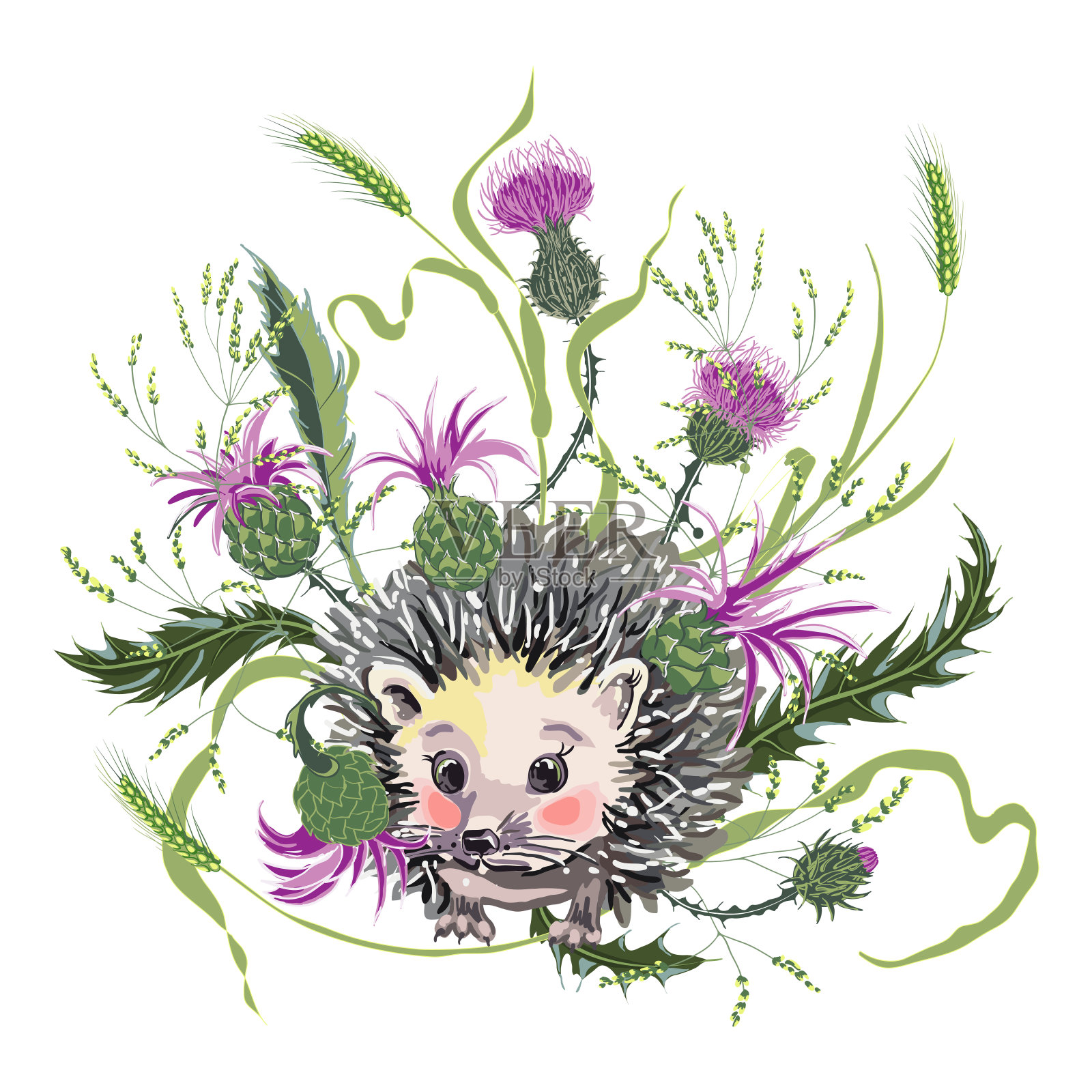 可爱的刺猬在野生药草和乳蓟插画图片素材