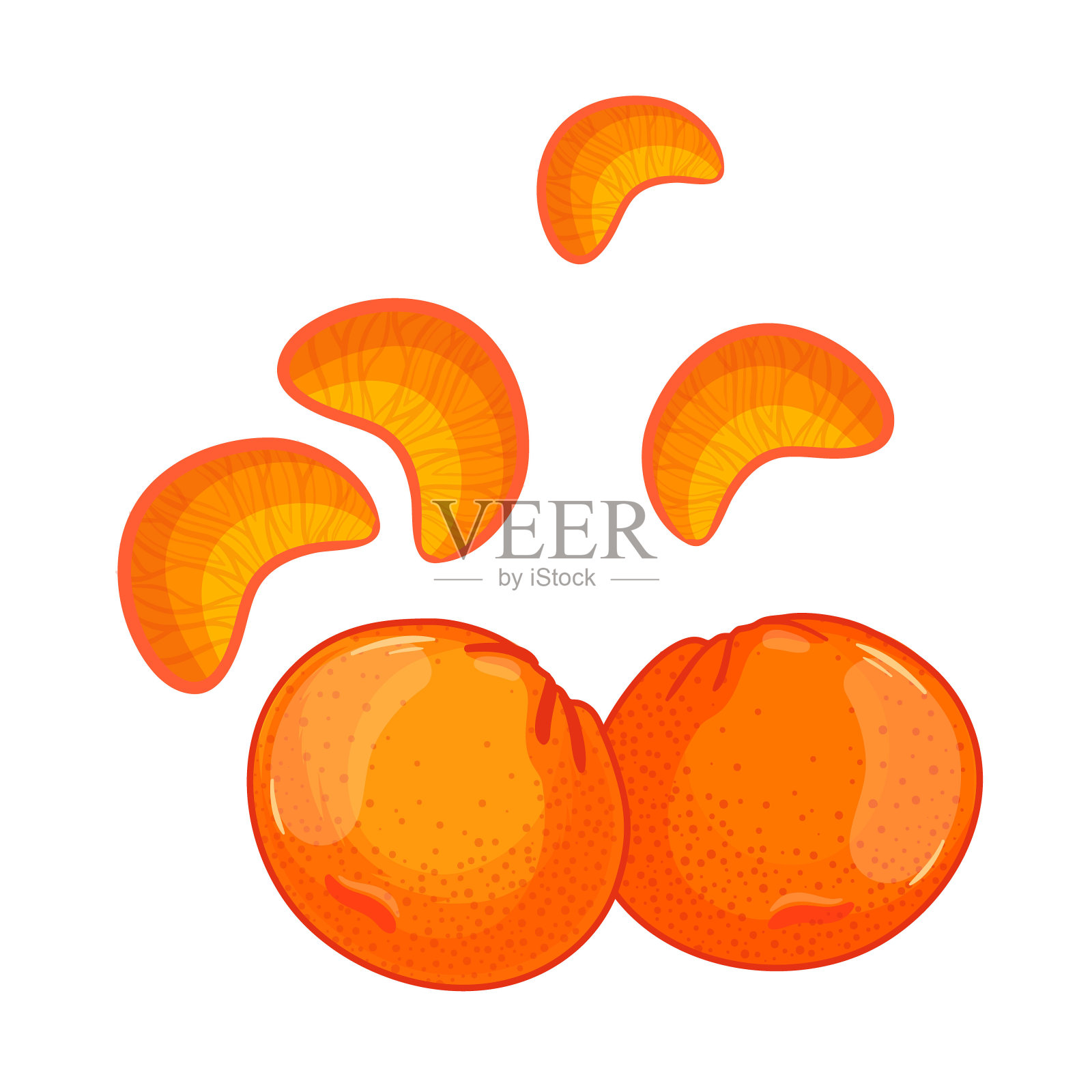 在白色背景上分离的柑橘，柑橘，小柑橘。设计元素图片