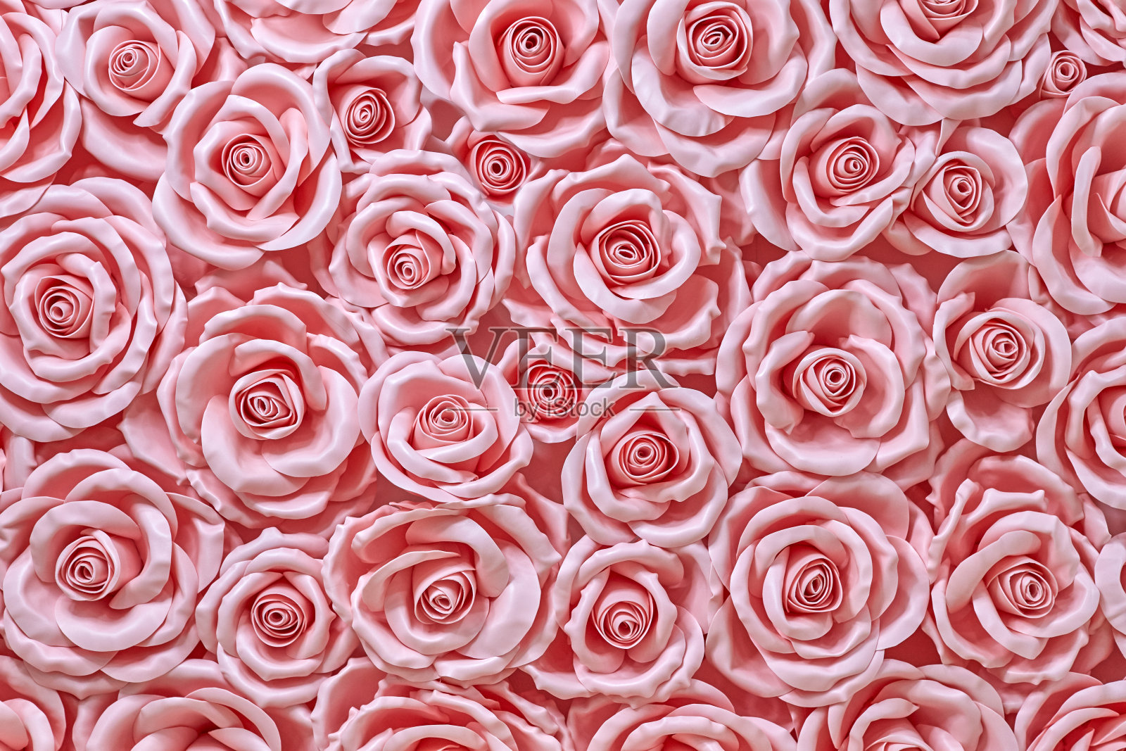 美丽的背景精致的粉红色玫瑰照片摄影图片