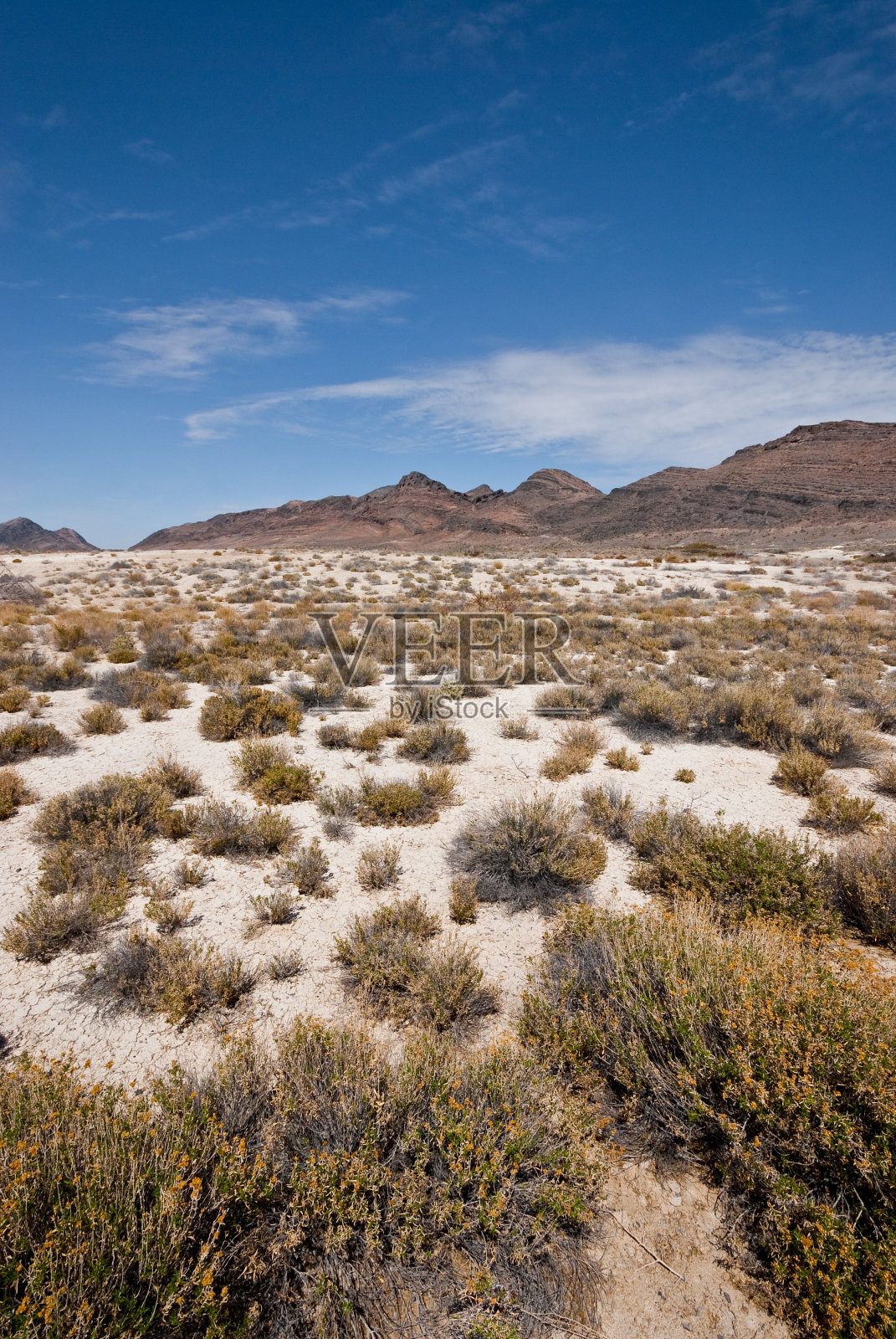 莫哈韦沙漠和山脉照片摄影图片