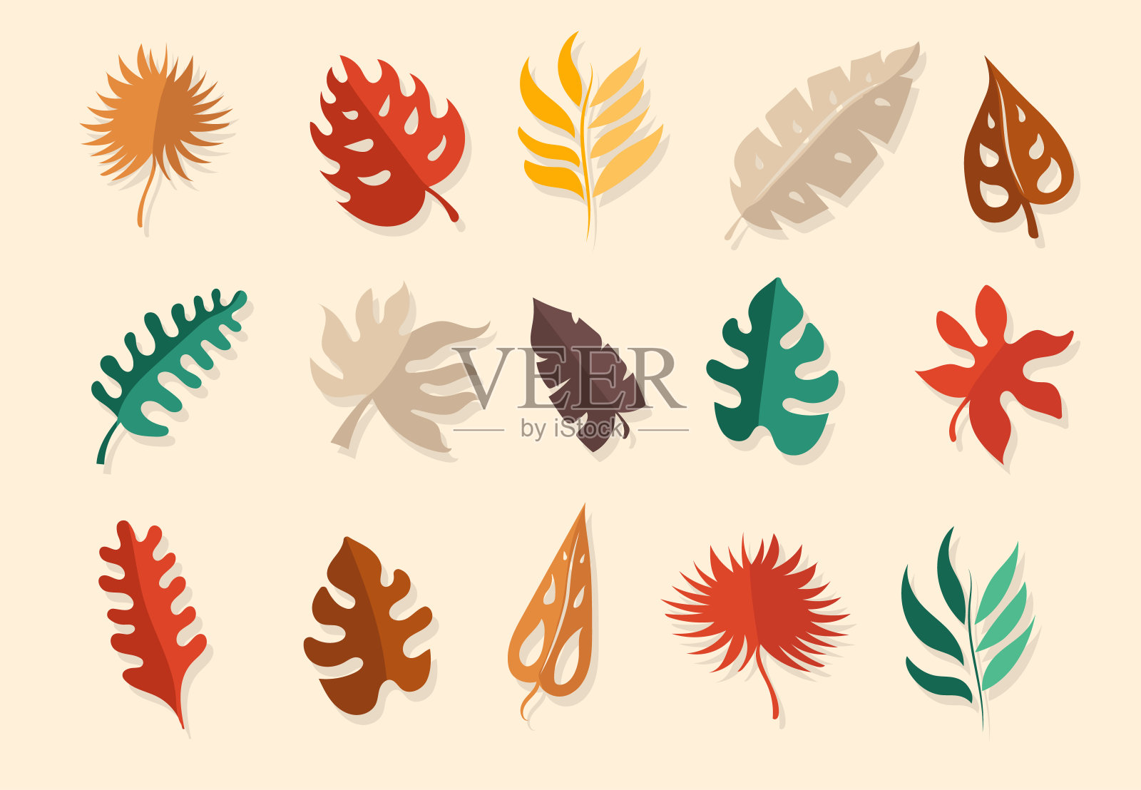 色彩斑斓的热带植物。插画图片素材