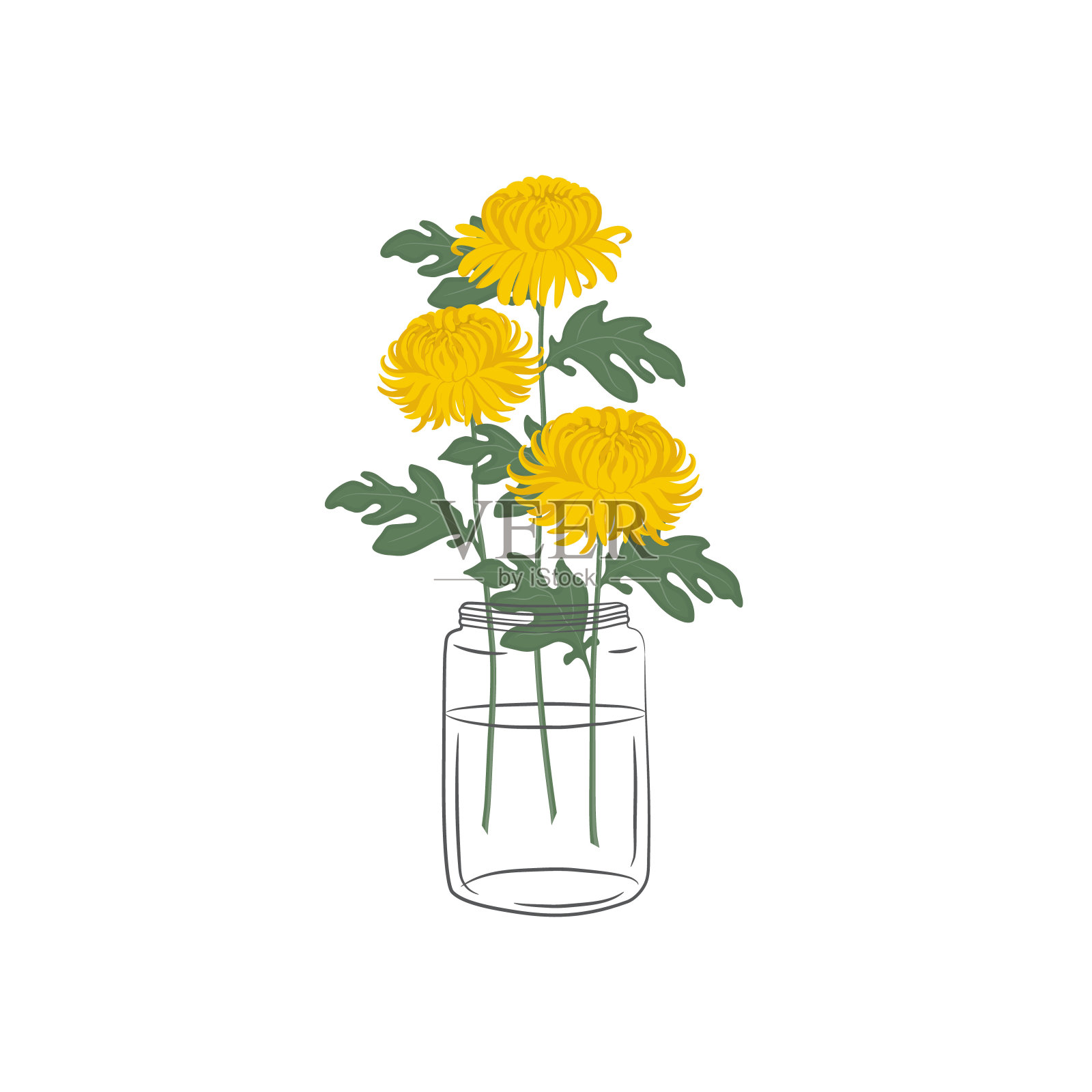 玻璃罐里的菊花。带叶子的黄色花。秋天的花设计元素图片