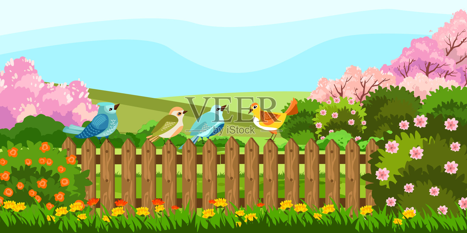 矢量股票插图与可爱的五颜六色的鸟坐在花园篱笆上。春天的田园后院有盛开的树木，灌木和鲜花。插画图片素材