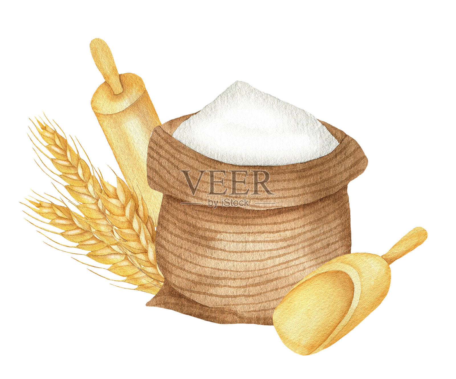 小麦和面粉插图。jpg插画图片素材