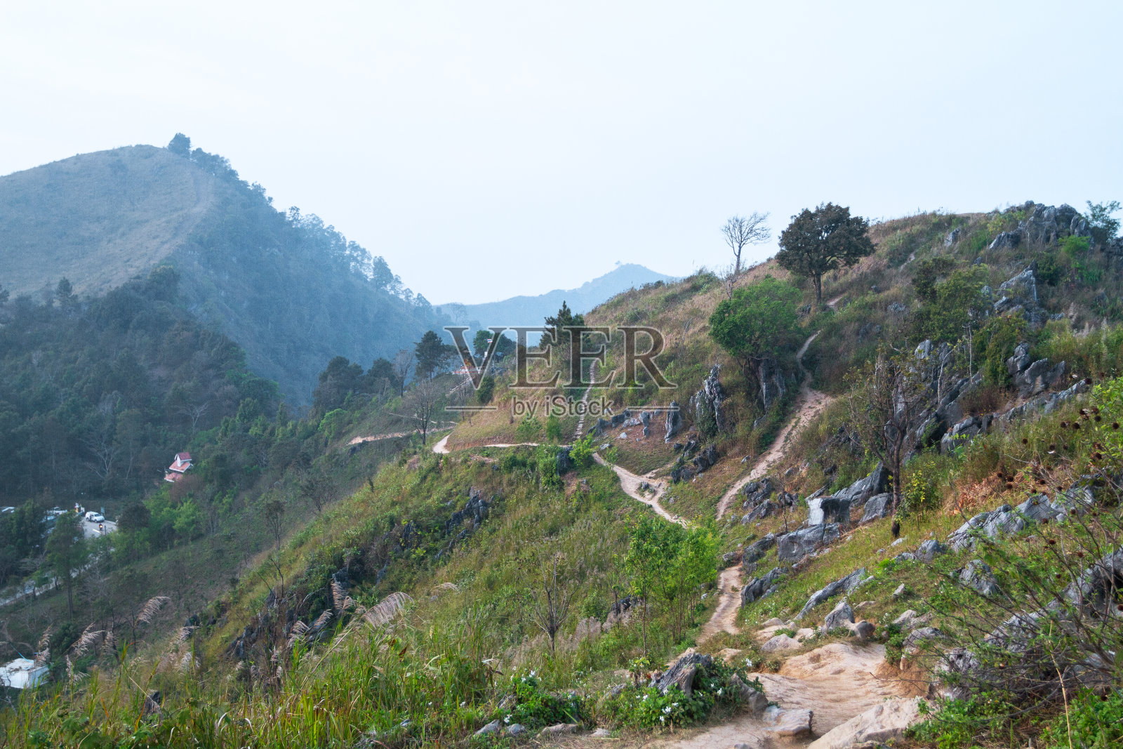 从清莱的Doi Pha Tang山可以看到后路照片摄影图片