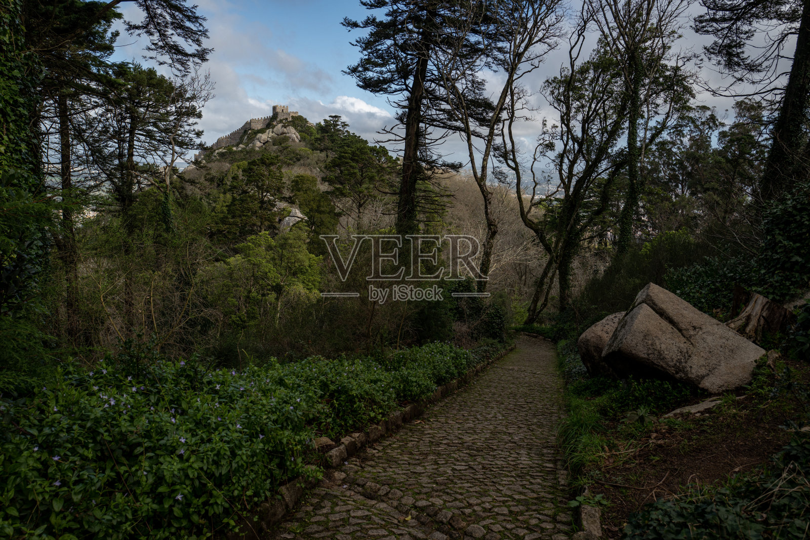 鹅卵石小径穿过葡萄牙辛特拉的森林照片摄影图片
