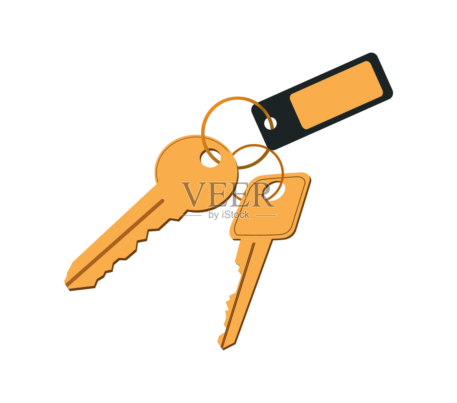 key in Keyring with Label Vector插图设计元素图片