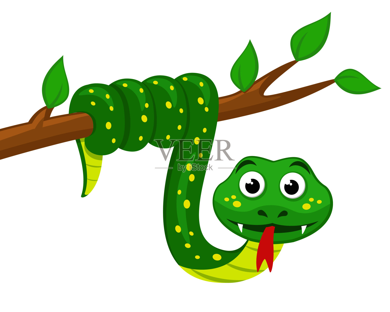 成都生物所发现过树蛇属一新种——沃氏过树蛇----中国科学院成都生物研究所