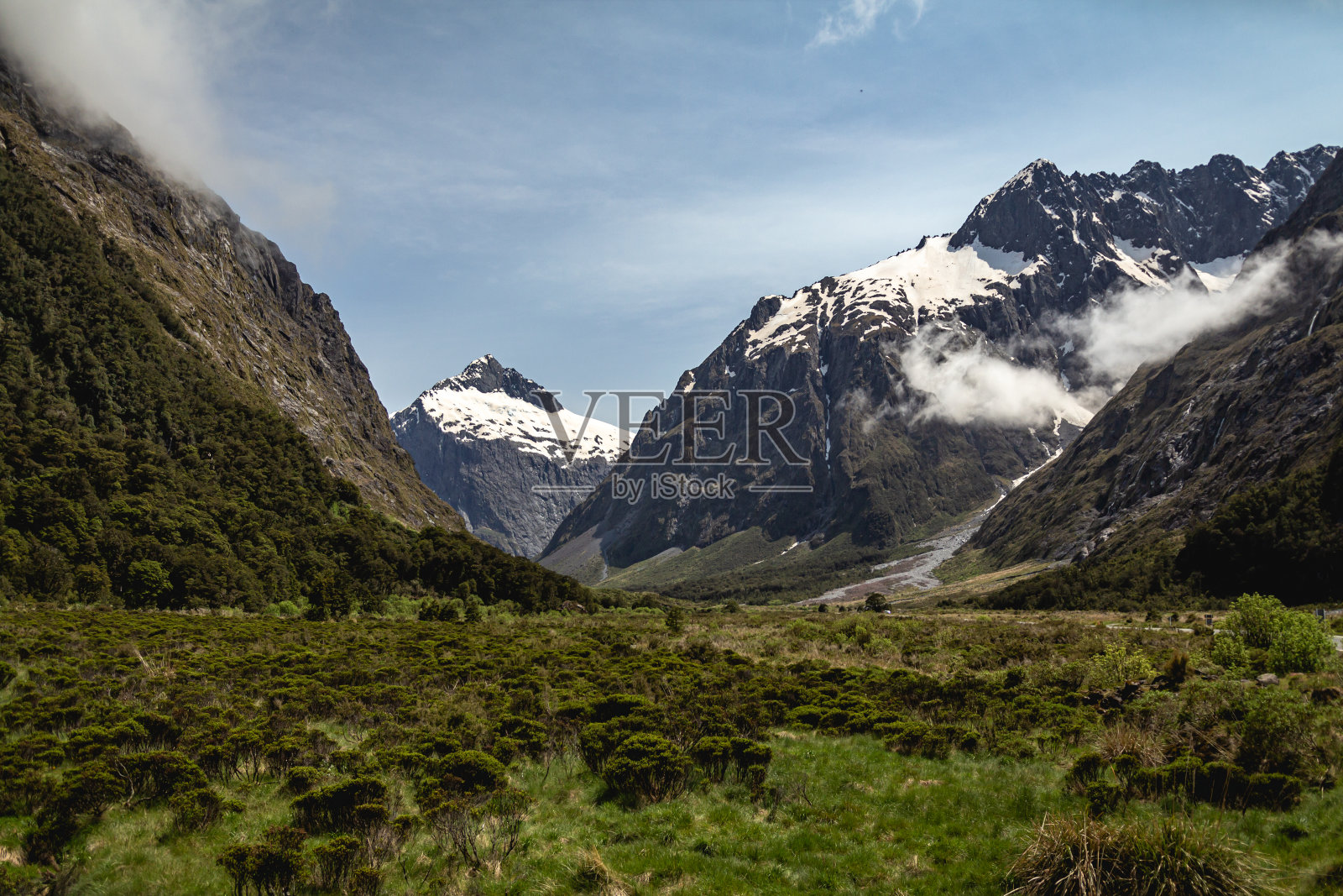新西兰峡湾国家公园的绿色田野和白雪皑皑的山脉照片摄影图片
