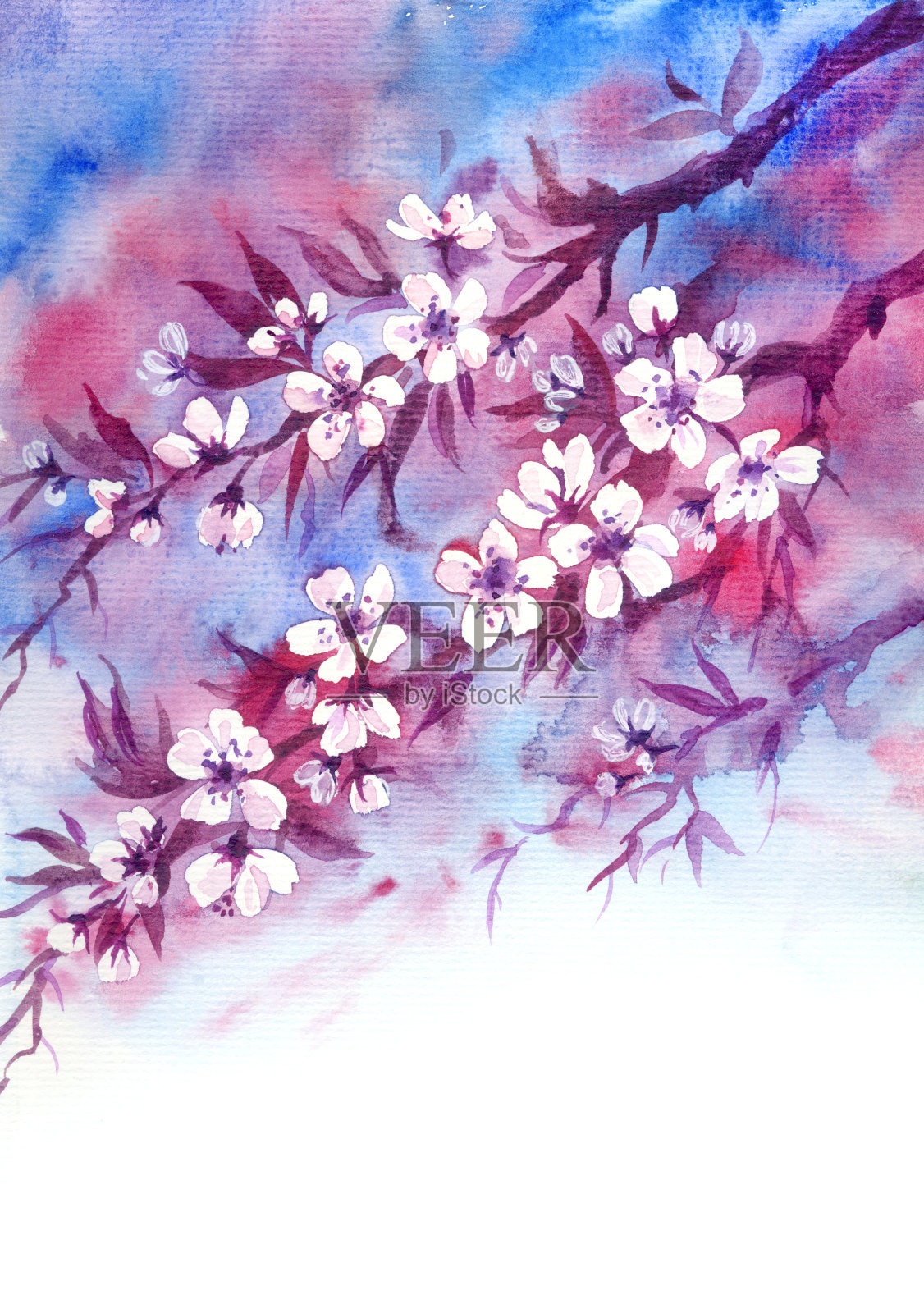 开花树枝,水彩插画图片素材