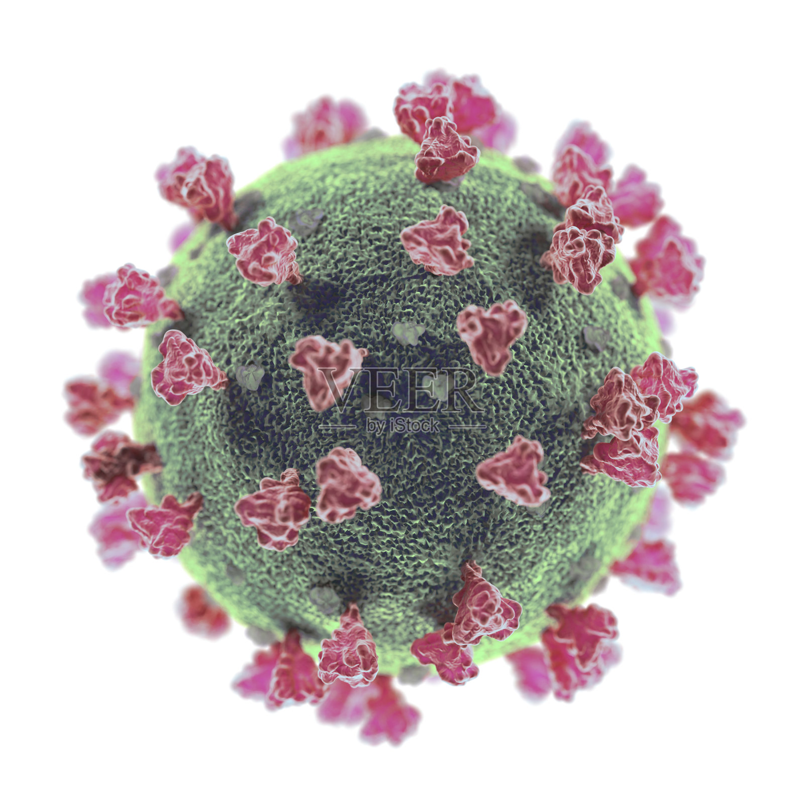 显微镜下冠状病毒流感毒株近距离在白色背景照片摄影图片