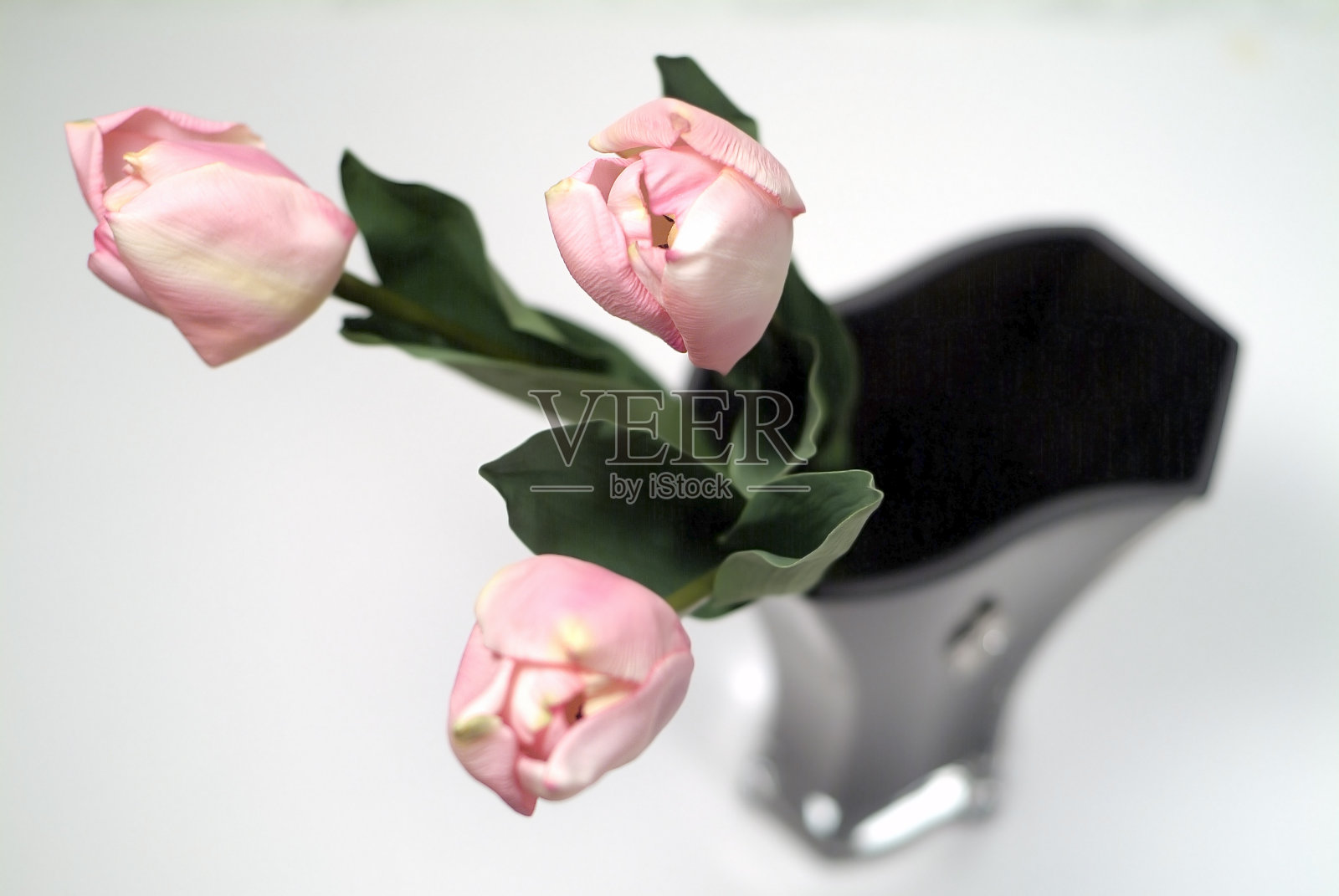 黑色花瓶里的粉色郁金香照片摄影图片