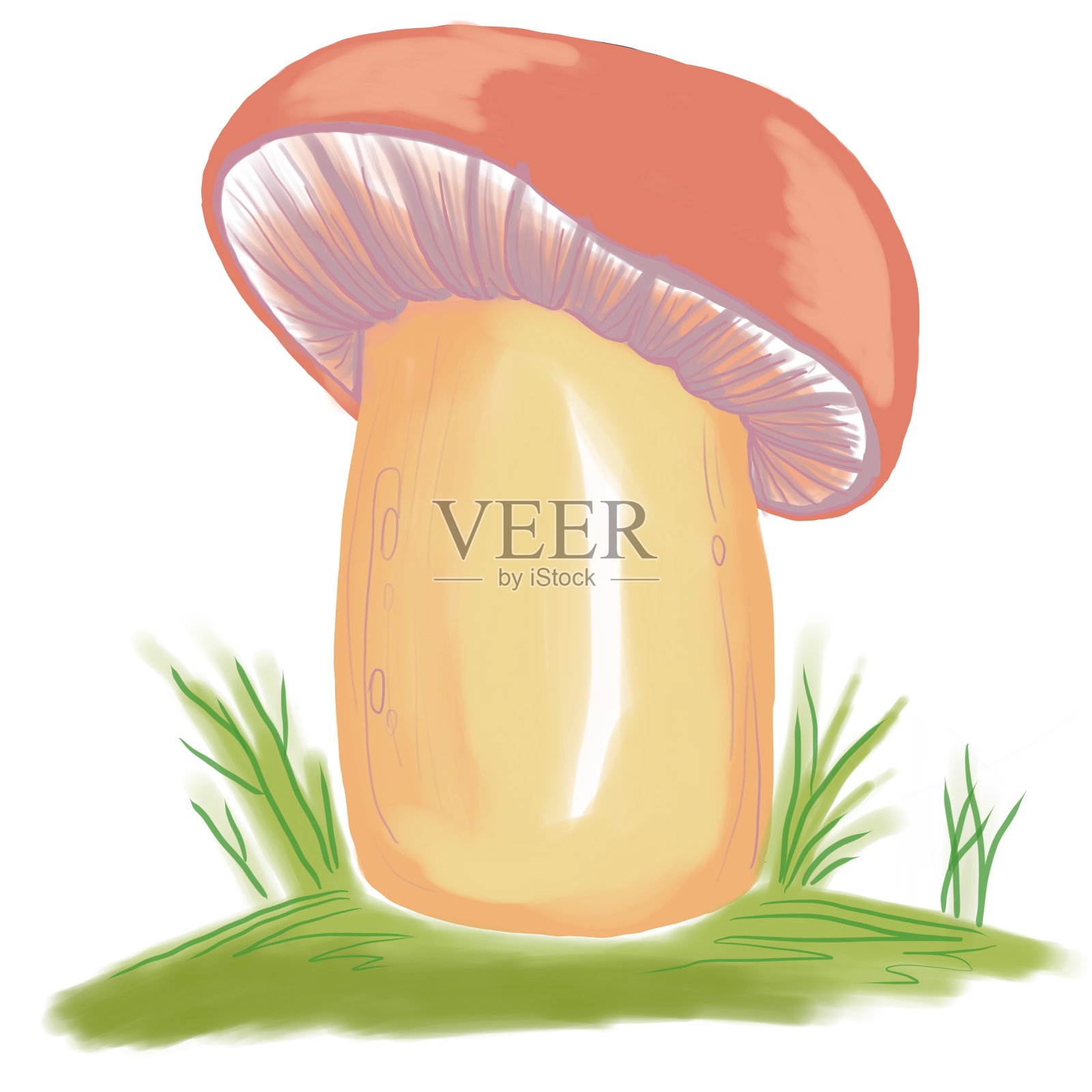 一个棕色的大蘑菇在草地上插画图片素材