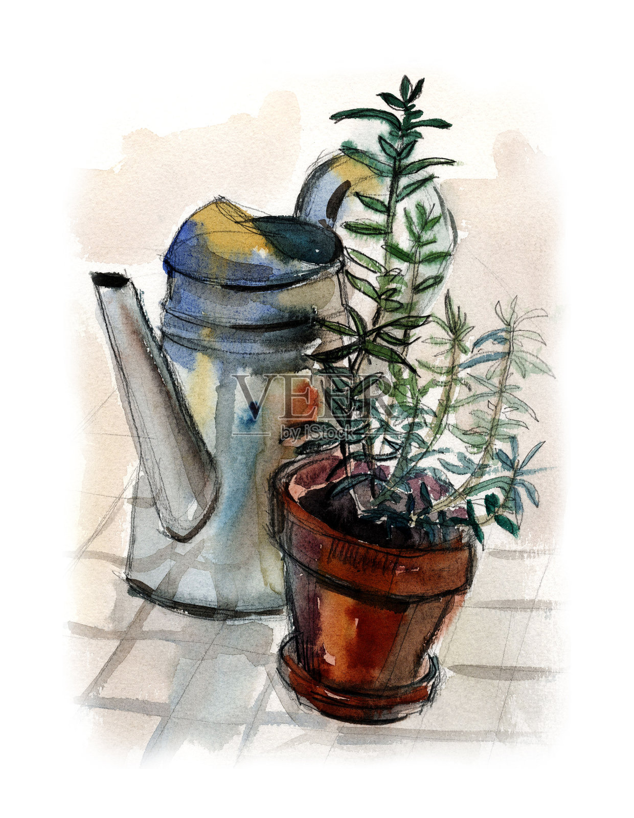 镀锌喷壶和迷迭香植物在赤陶陶瓷花盆在方砖地板上。水彩画插图。插画图片素材