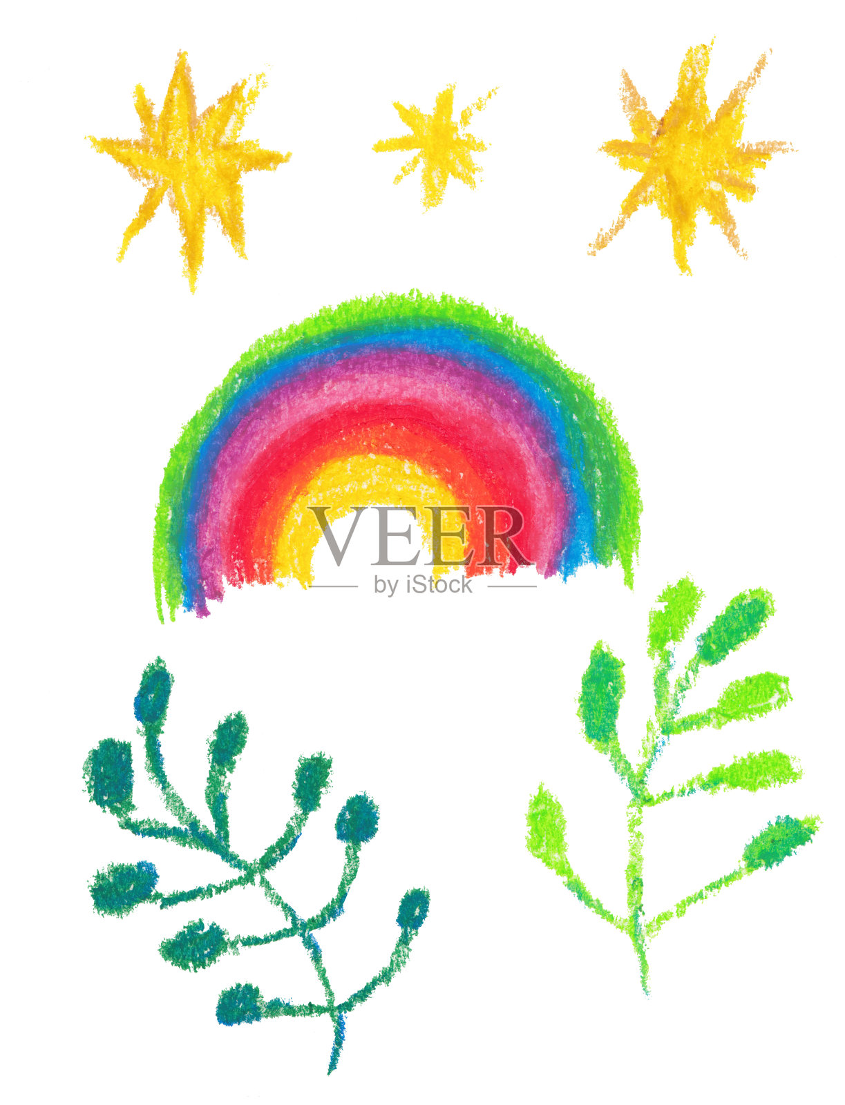色彩鲜艳的图案，风格优美。植物学绘画。插画图片素材