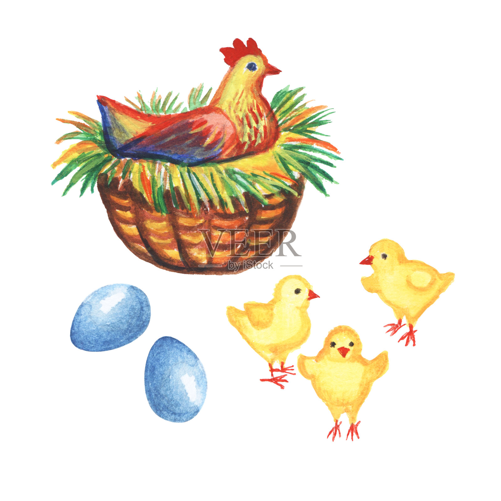 母鸡、鸡和鸡蛋孤立在白色背景上。水彩插图。插画图片素材