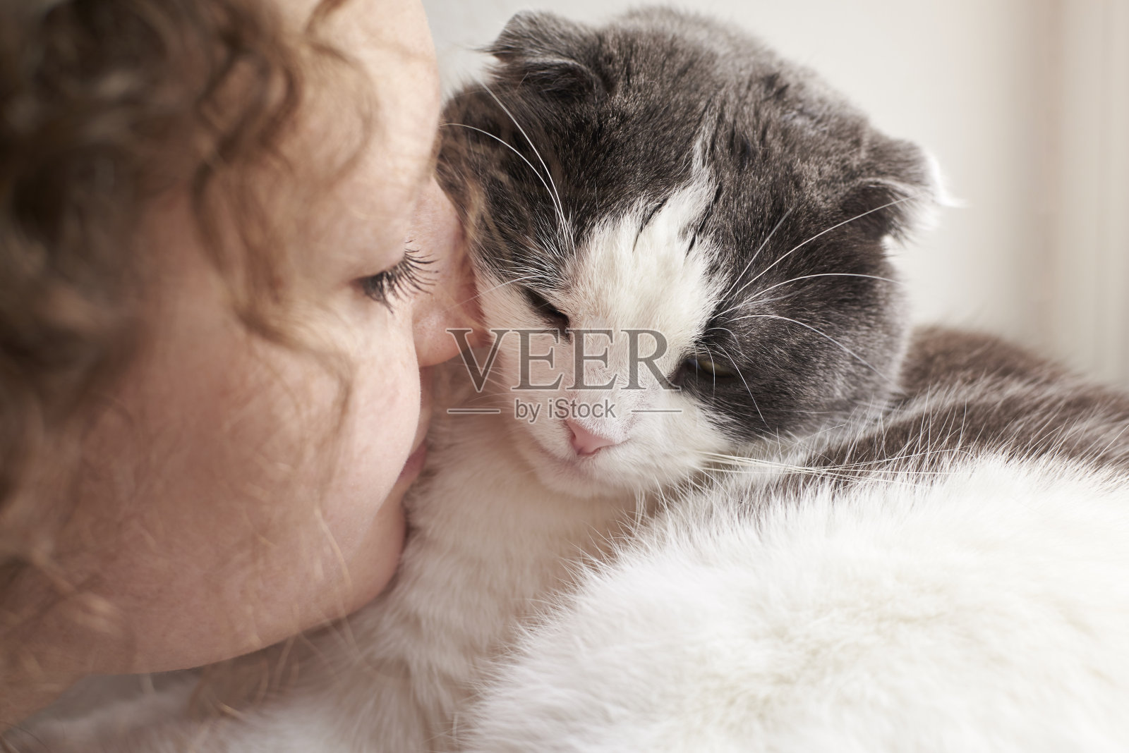 女孩抱着她的猫，特写，主题是与宠物的友谊照片摄影图片