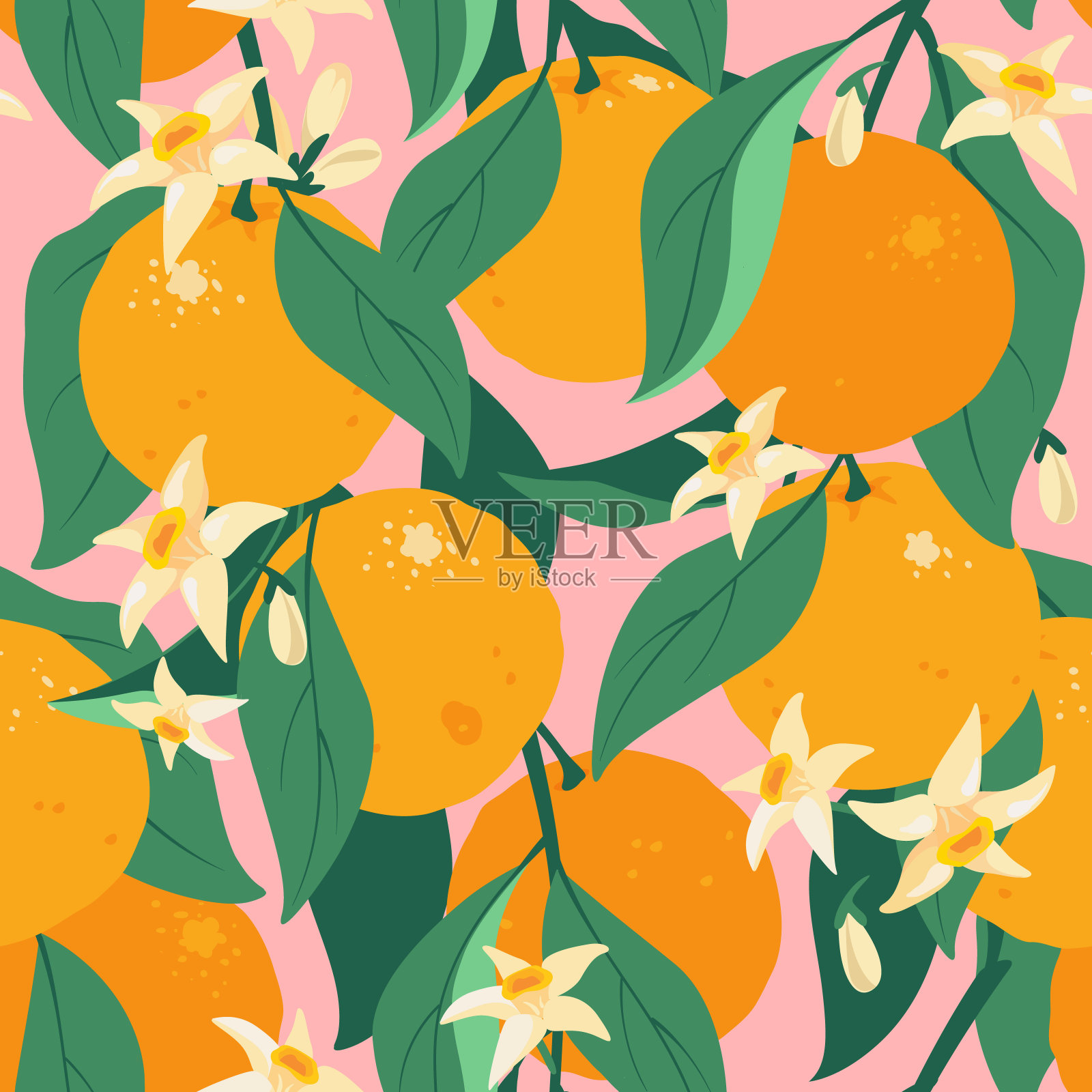 热带夏季柑桔无缝花纹叶和花。插画图片素材