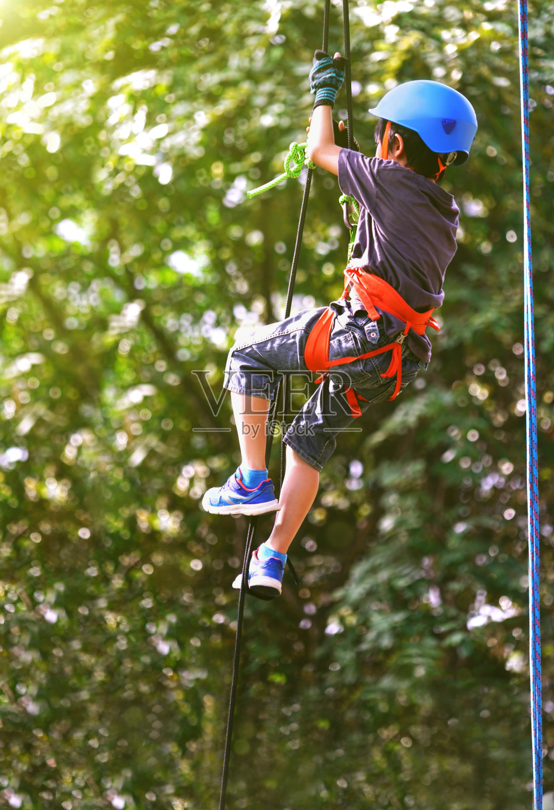 一个小男孩用绳子爬上了树。照片摄影图片