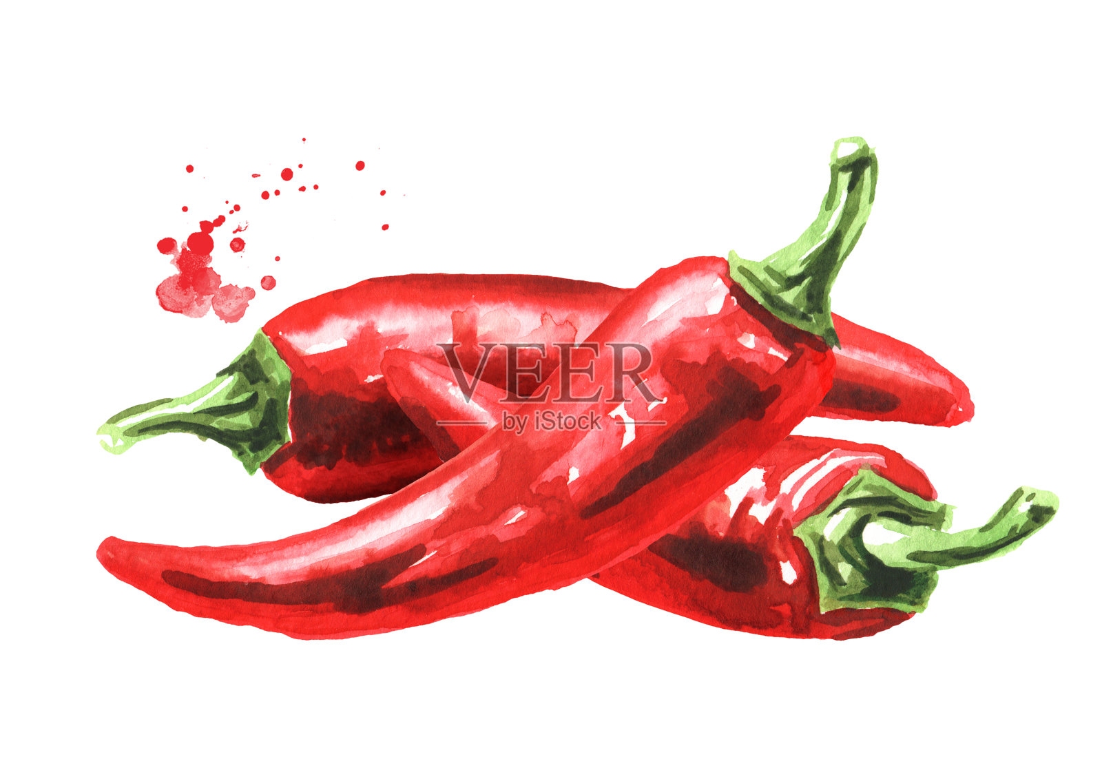 红辣椒，手绘水彩插图孤立的白色背景设计元素图片