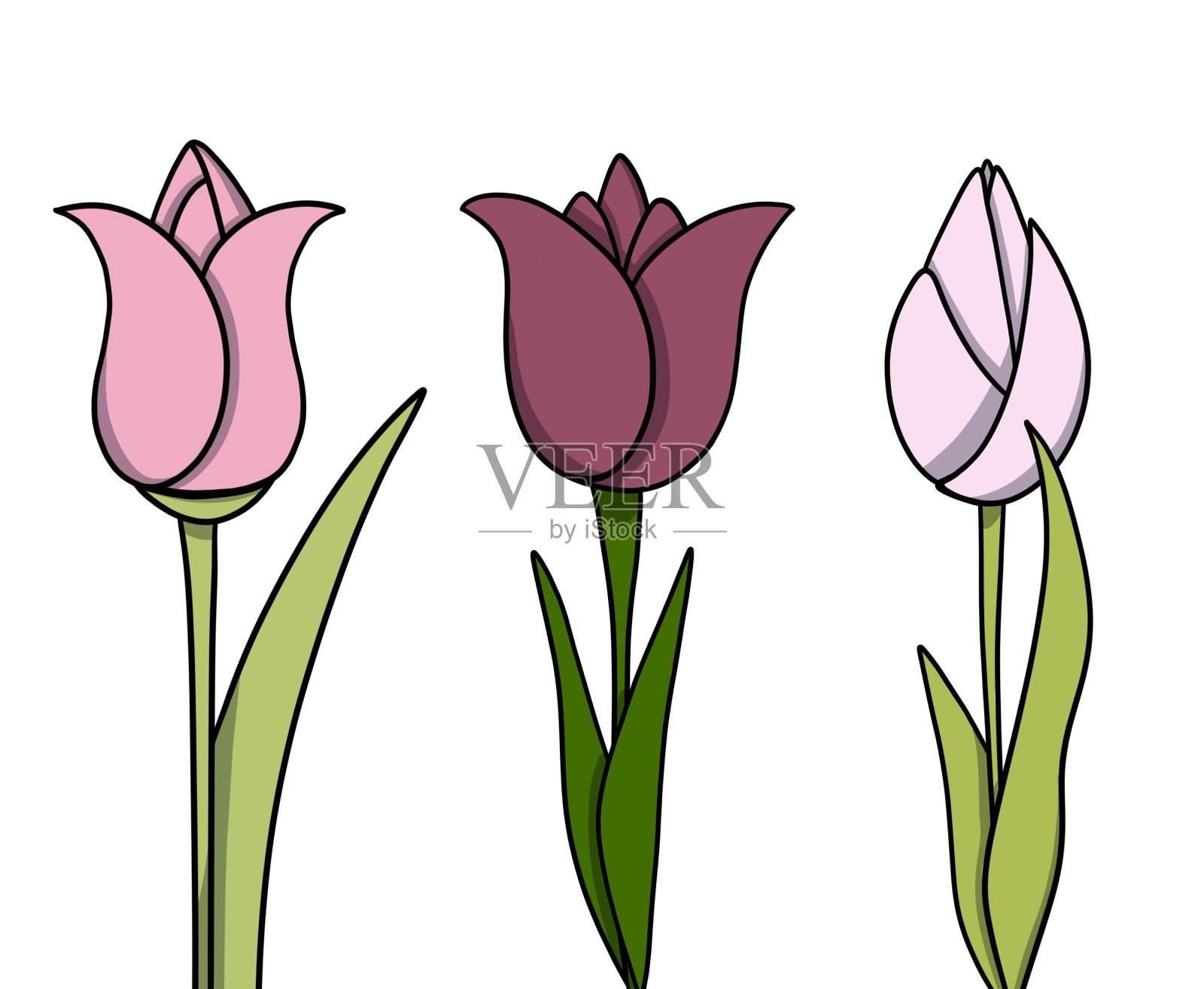 平面图标上的白色背景郁金香盛开。3月8日，妇女节，复活节。设计元素图片