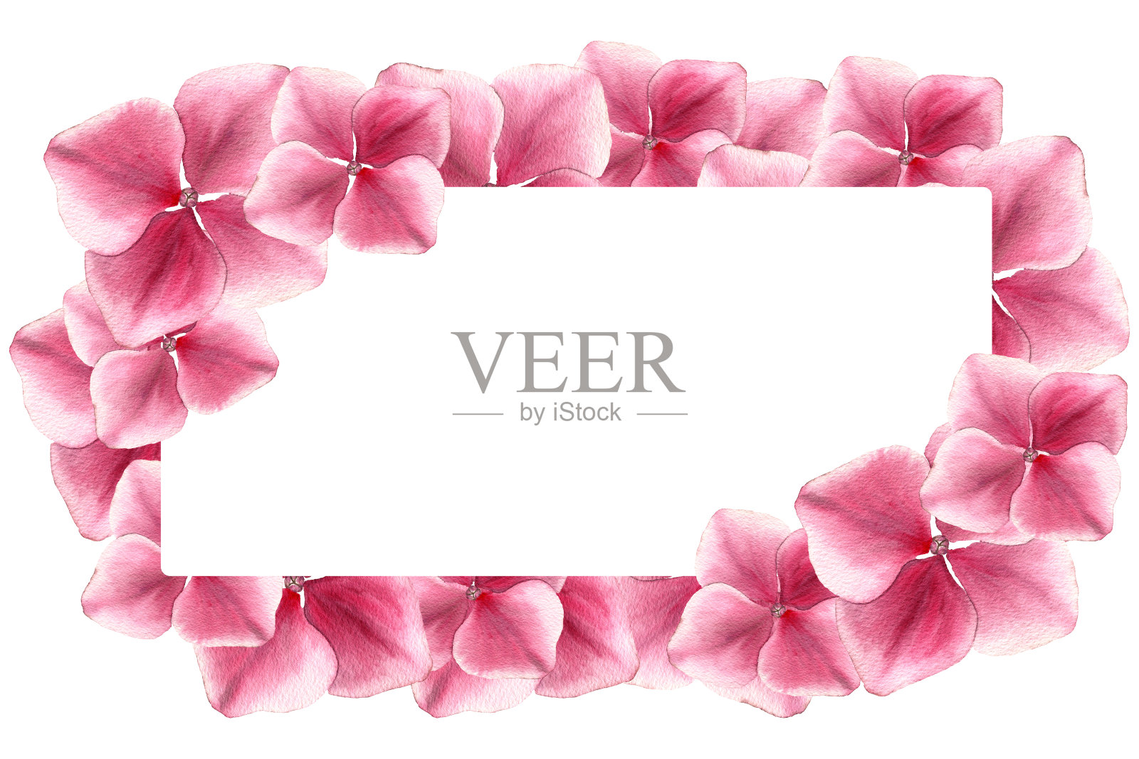 粉红色的绣球节日边框，优雅的水彩插画母亲节纪念日，粉红色的花卉装饰与复制空间插画图片素材
