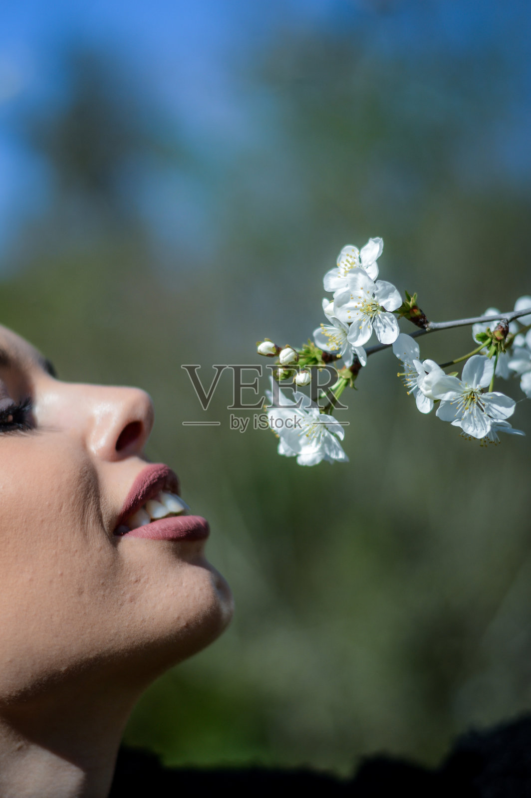 美丽的少女闻着盛开的梅花在一个阳光明媚的春天照片摄影图片