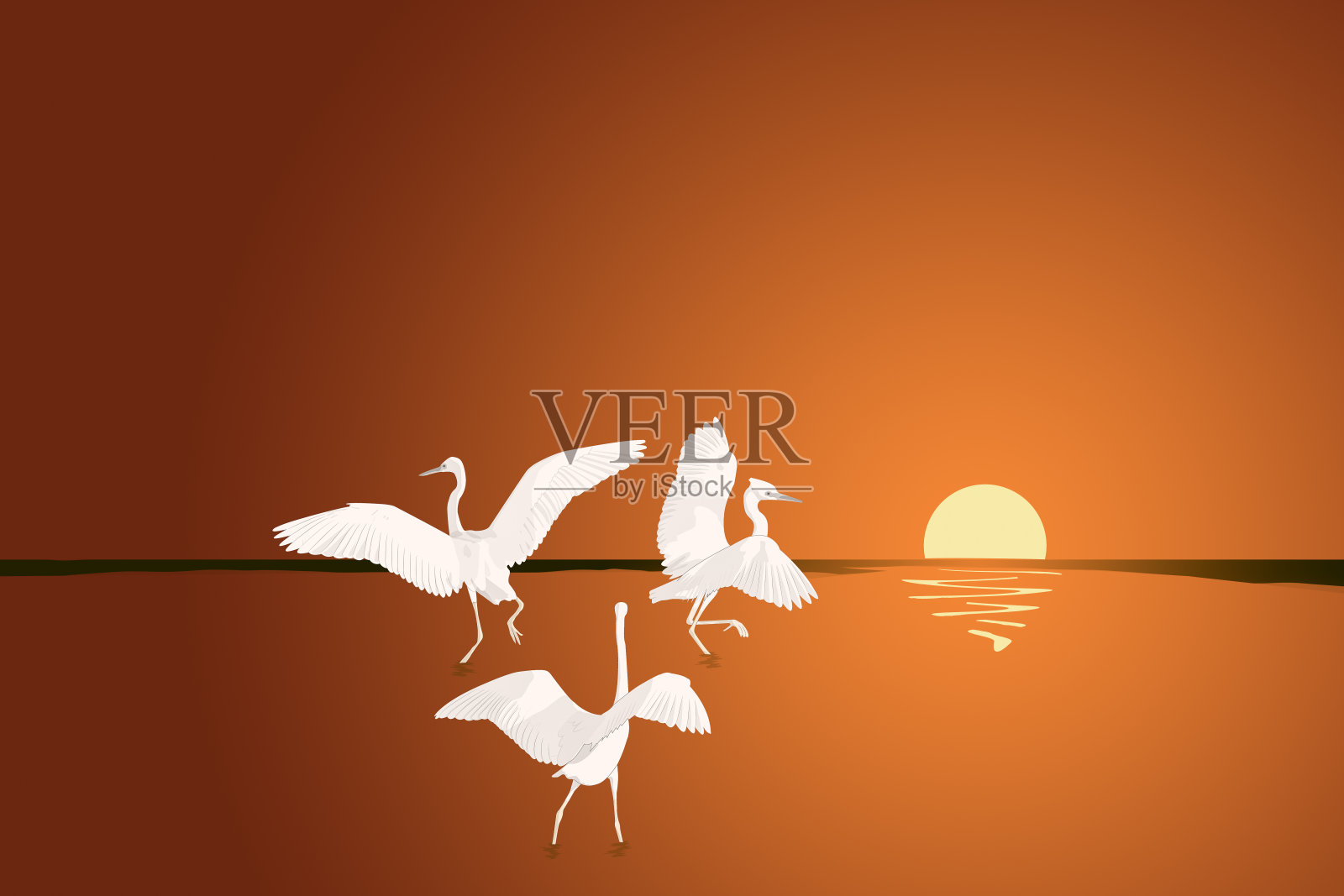 夕阳下的三只白色大鸟。插画图片素材