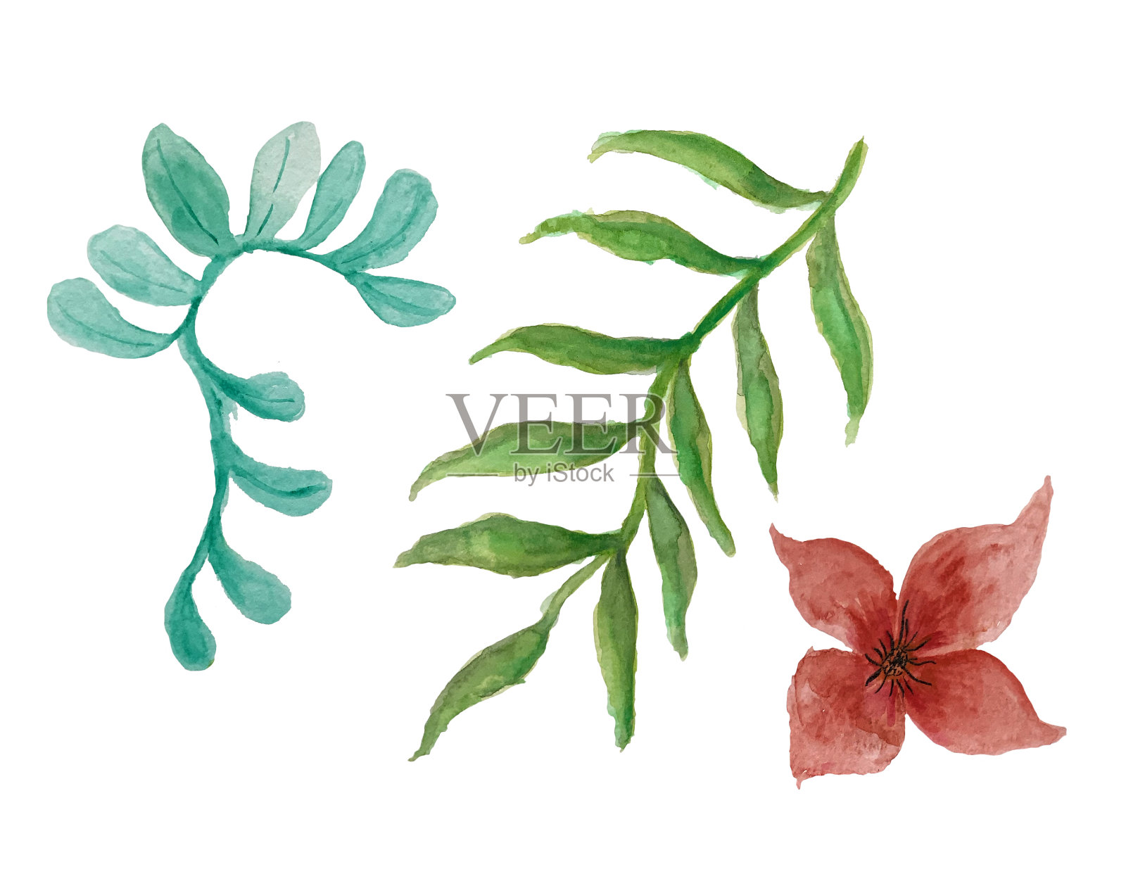 叶子和花的水彩插图插画图片素材