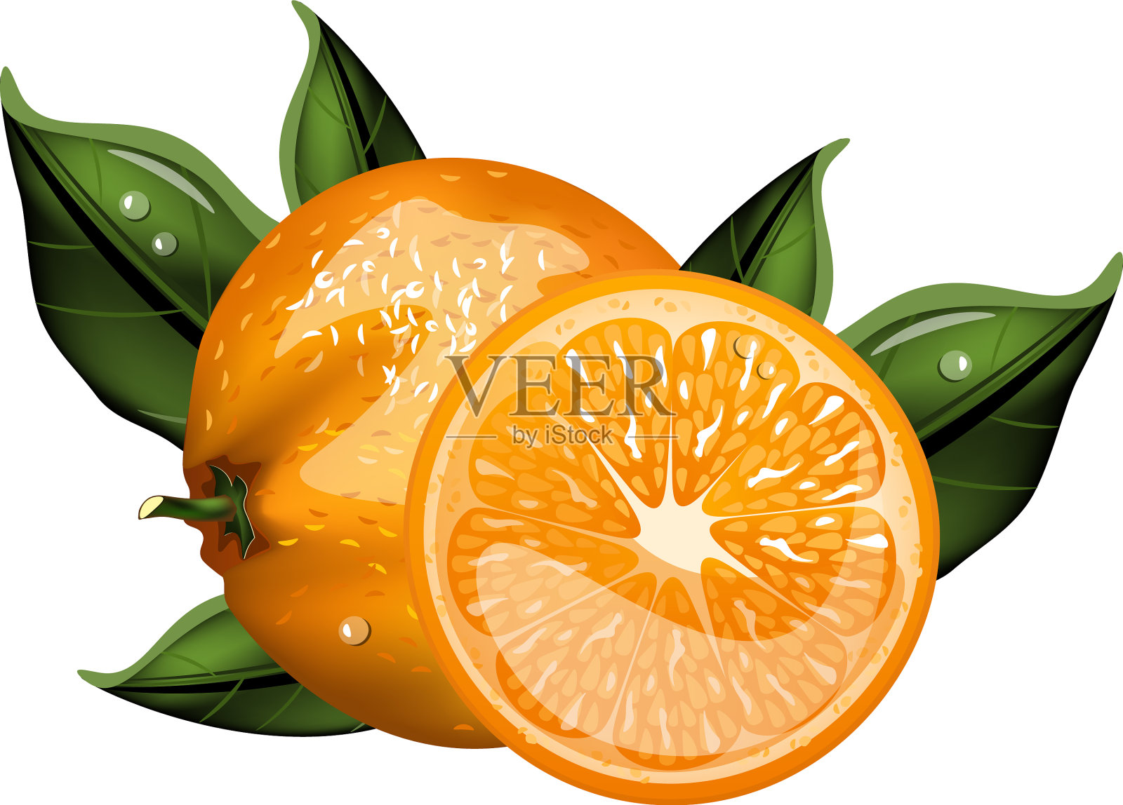 整个橙子和切片橙子设计元素图片