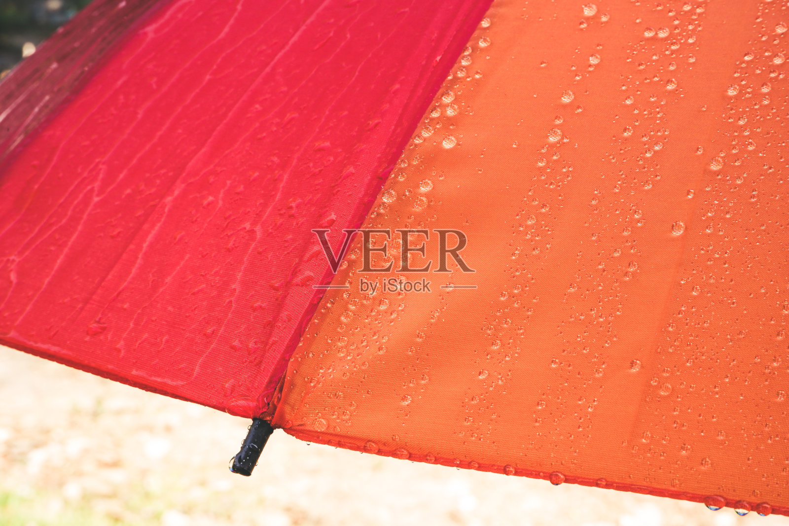 落在伞上，伞的背景织物纹理照片摄影图片