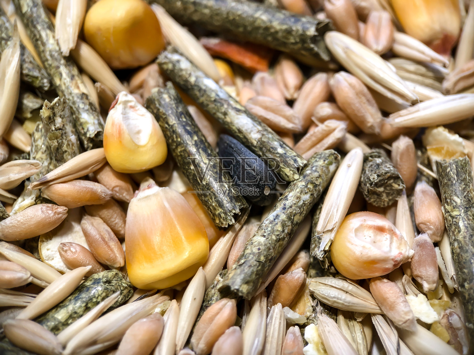 啮齿动物食物的质地来自燕麦、草粒、动物饲料、玉米、小麦。照片摄影图片