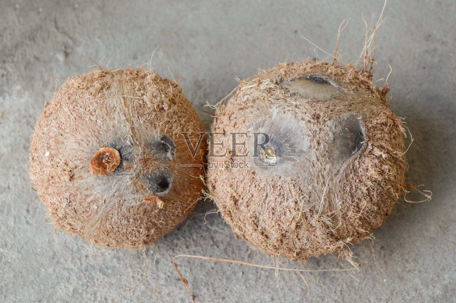 水泥地面上晾干椰子壳照片摄影图片