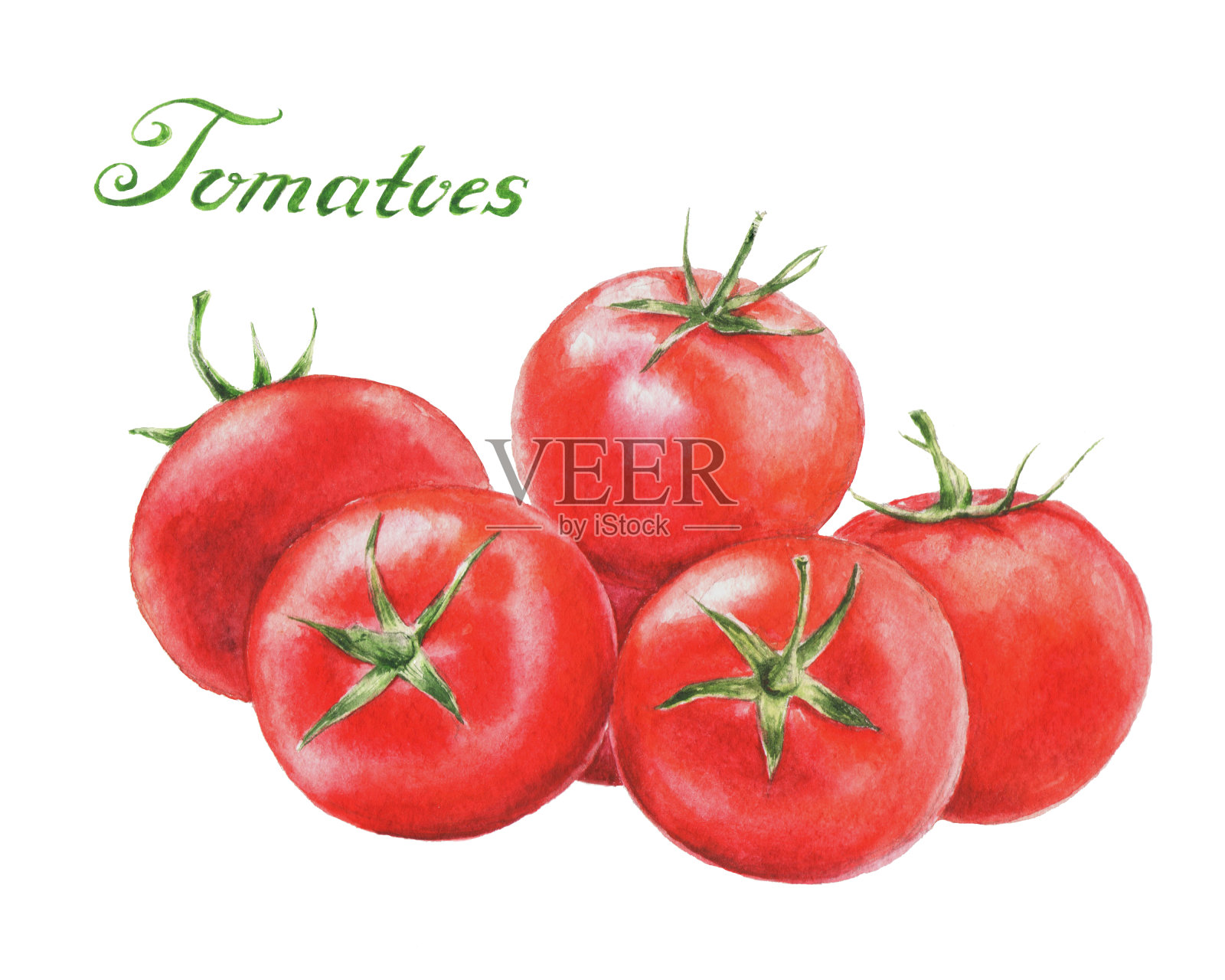 水彩食物插图与孤立的番茄插画图片素材