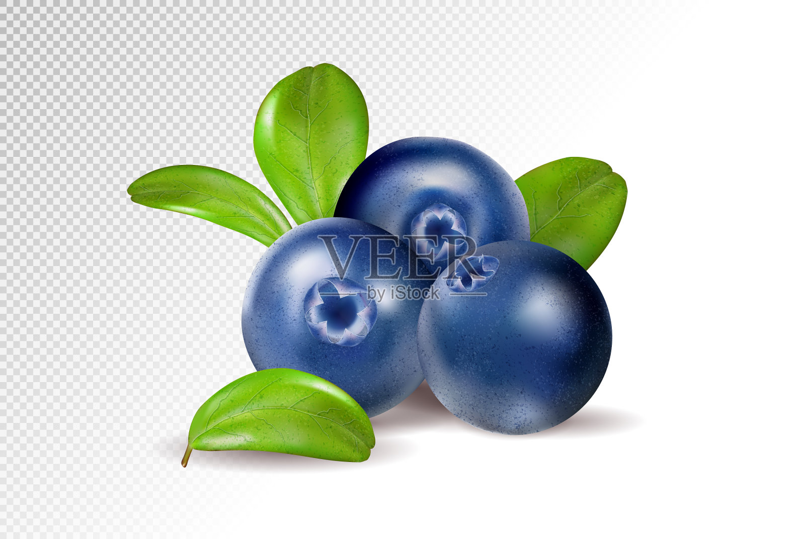 蓝莓的透明背景质量插画图片素材