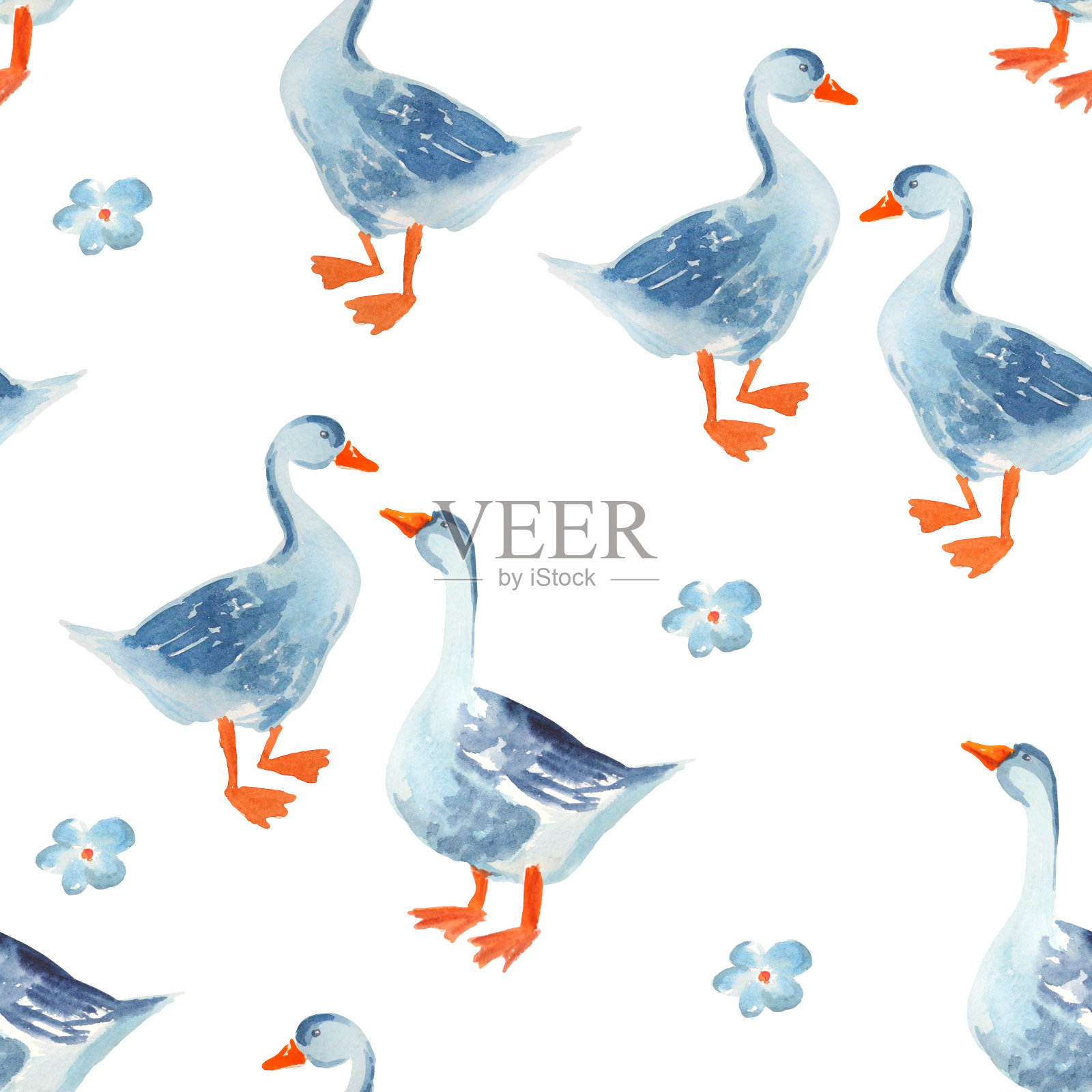 家禽无缝模式:水彩卡通鹅孤立在白色背景。设计元素图片