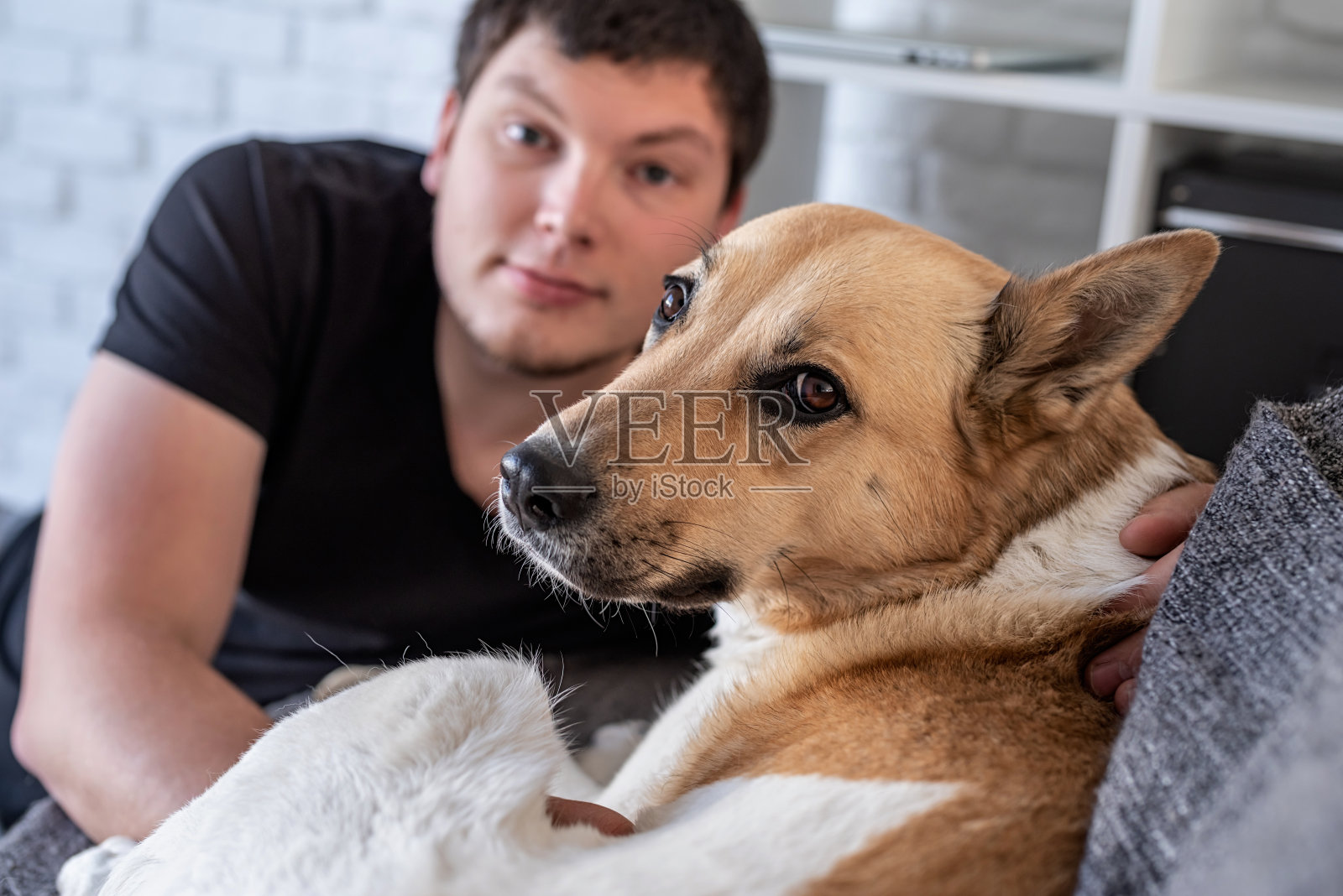 一个年轻人和他的狗坐在家里照片摄影图片