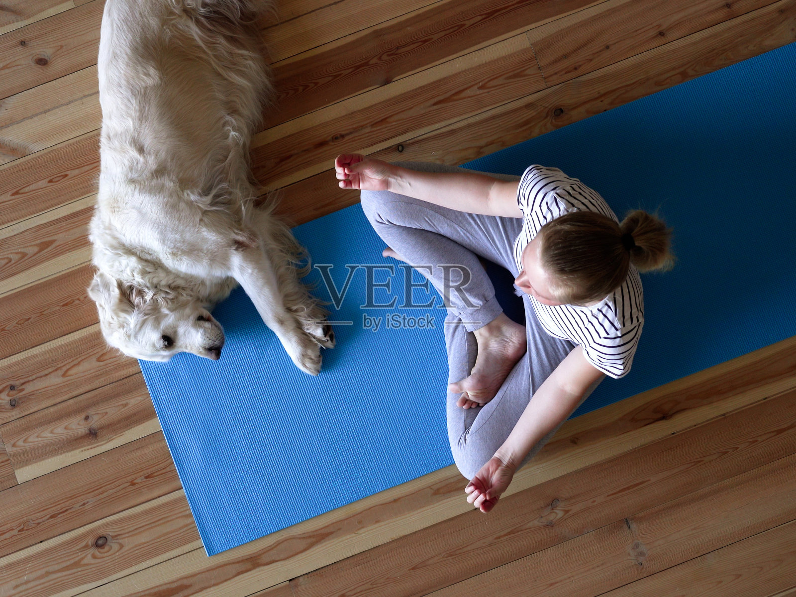 呆在家里。隔离期间，一名女子在客厅做瑜伽，一只大狗躺在附近。照片摄影图片