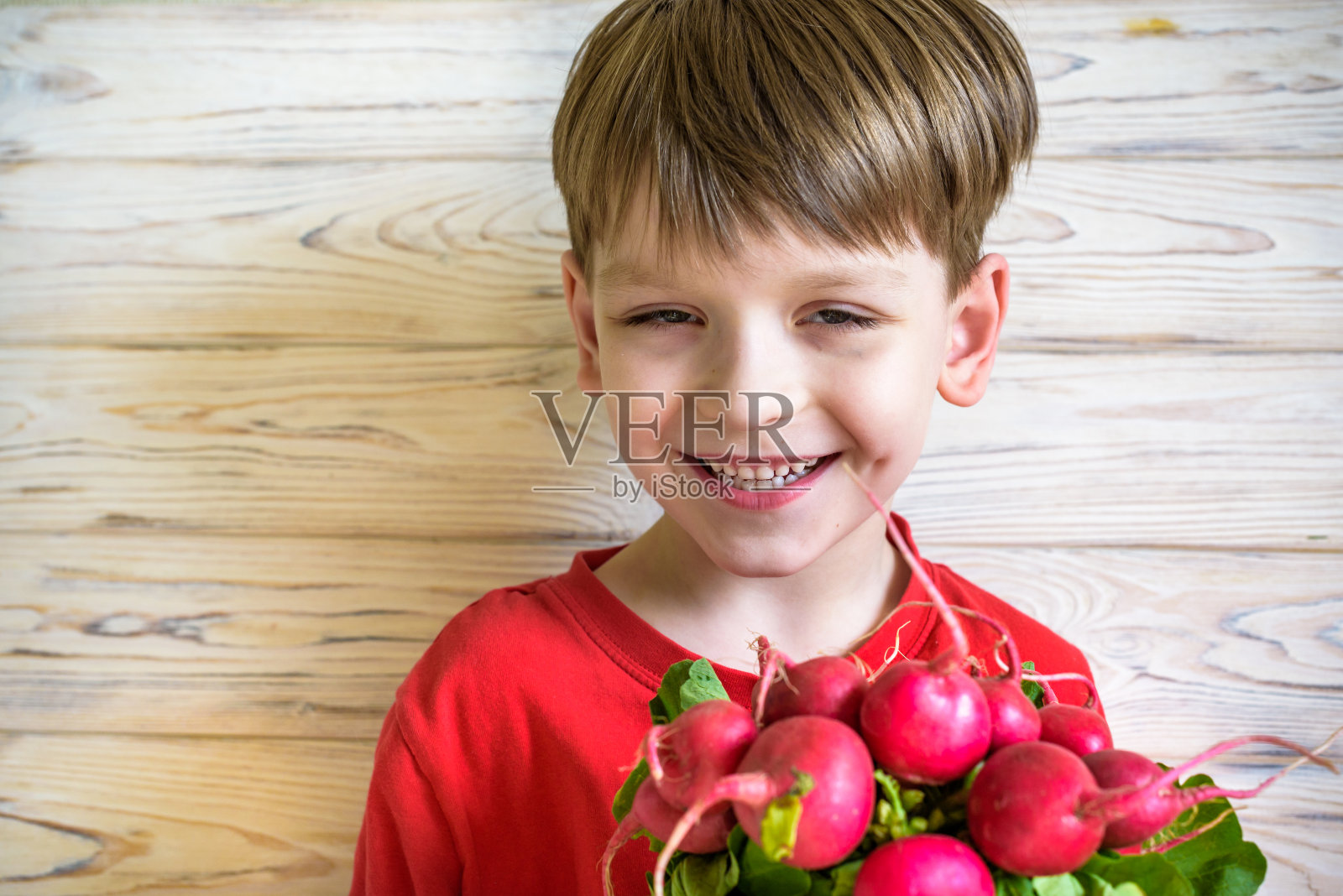 孩子手里拿着新鲜的有机萝卜。健康食品。有机蔬菜照片摄影图片