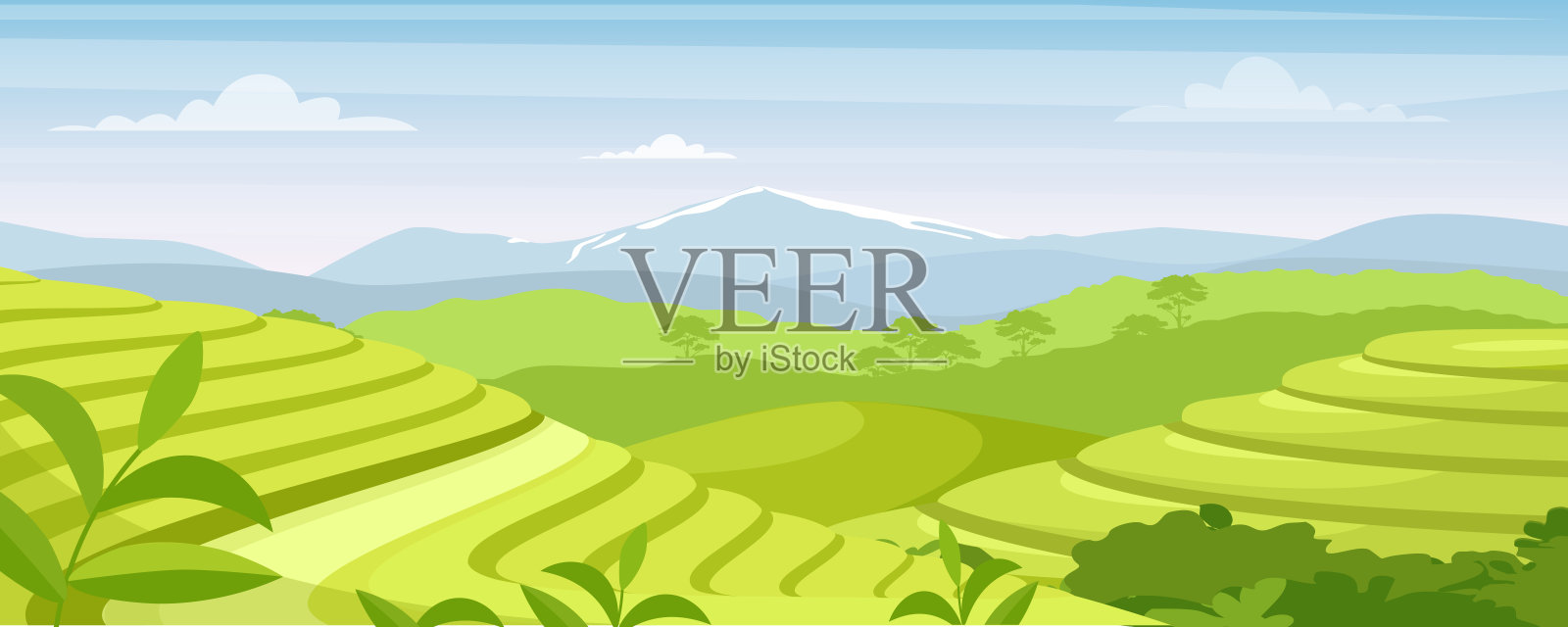 绿茶种植园景观矢量插图，卡通平坦的农村农田，梯田与绿化和山在地平线上，亚洲农业背景插画图片素材